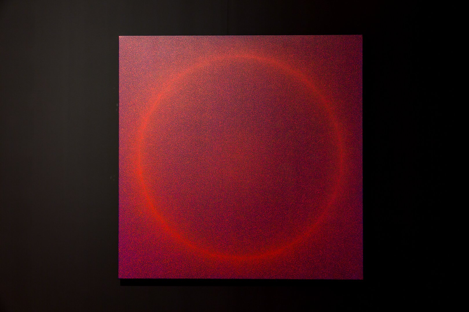 SCA-Fauvette Loureiro-Install-Sept 22-Web-41.jpg