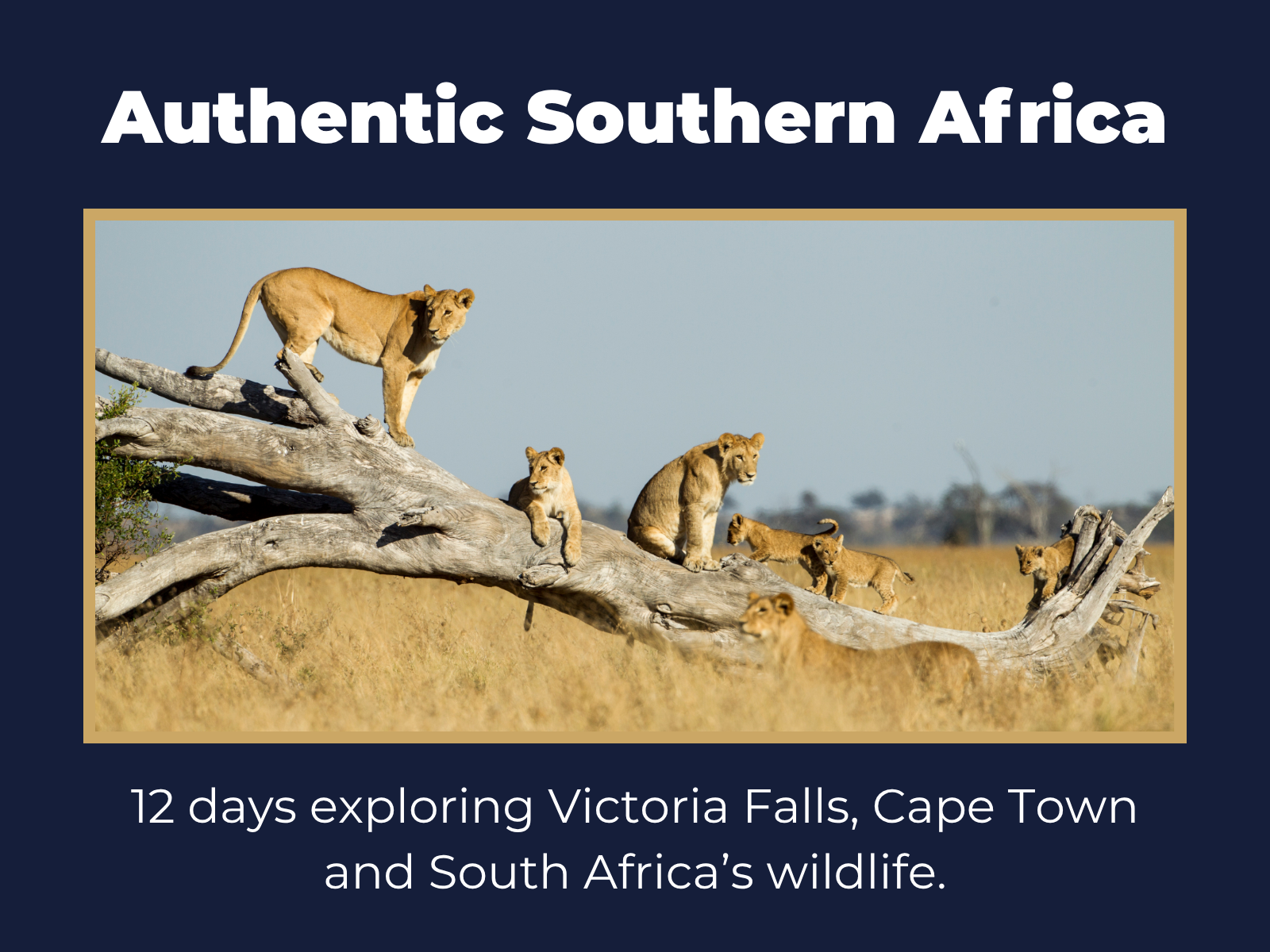 Discover Southern Africa with Adventure World