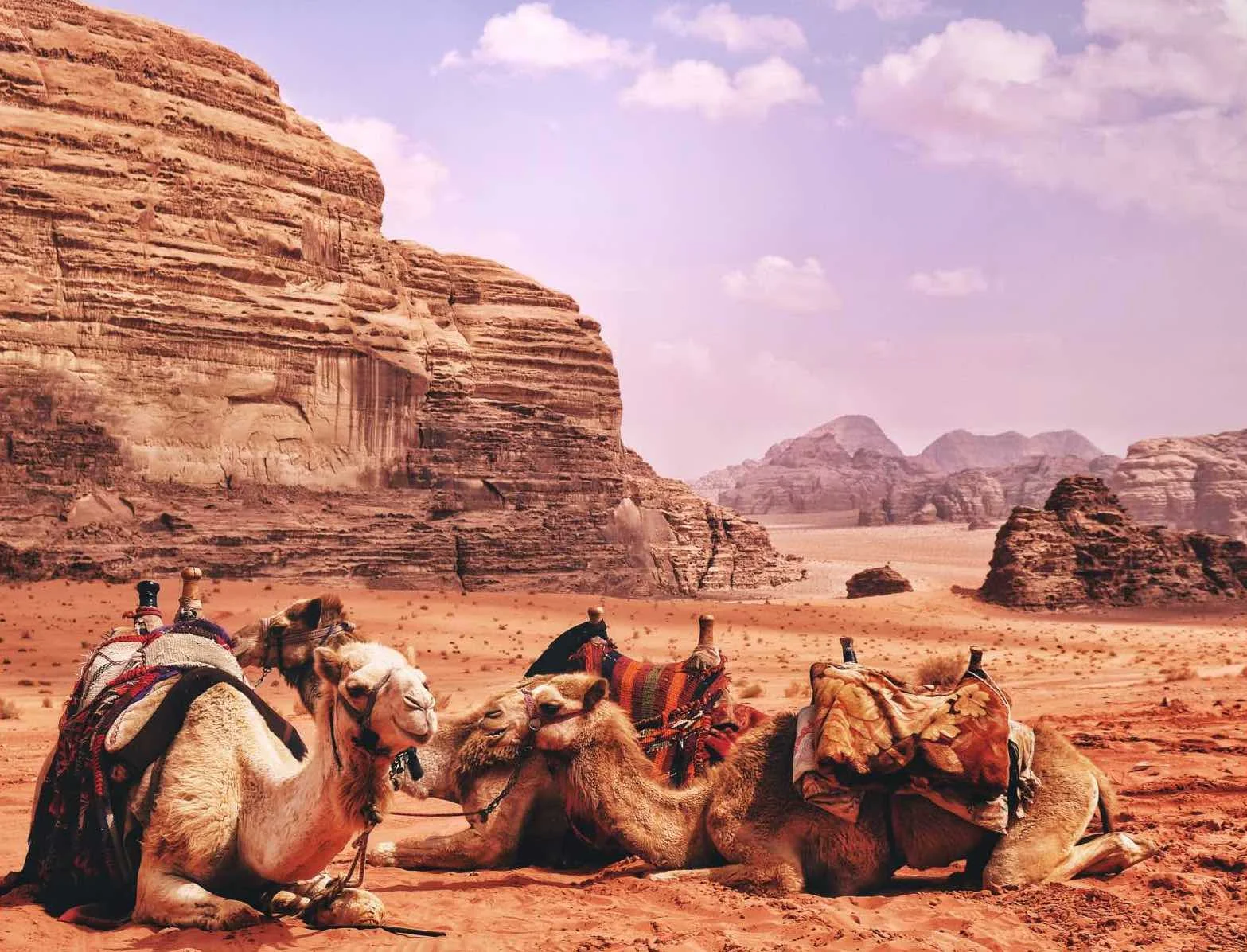 wadirum3.jpg