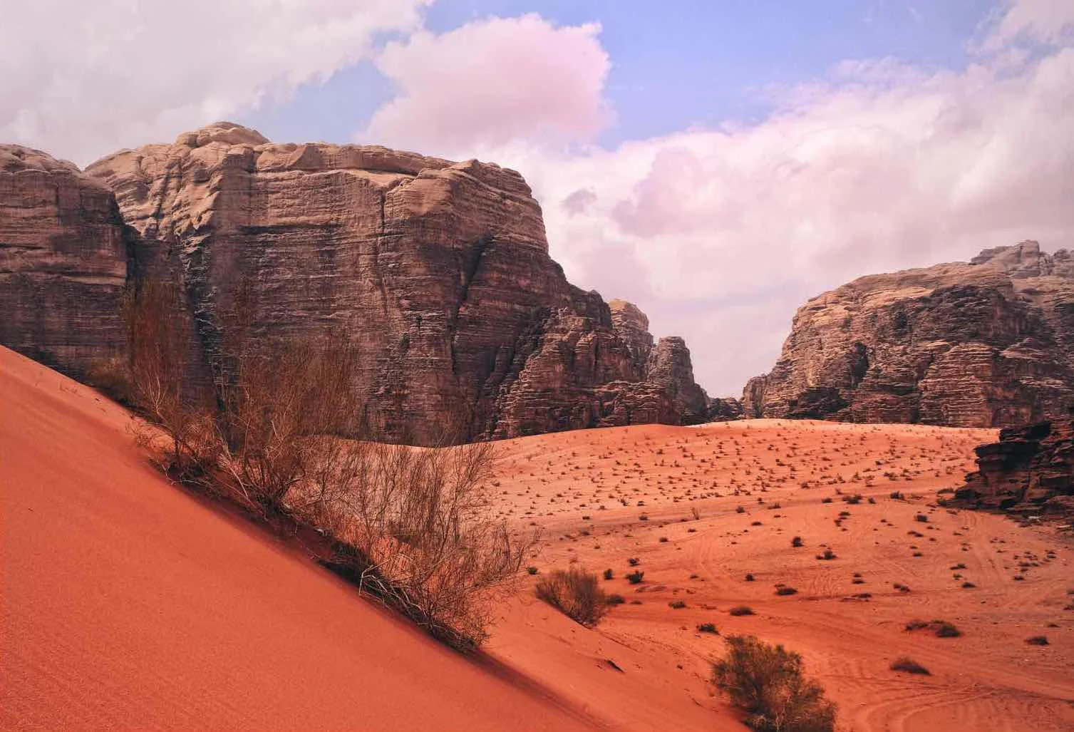 wadirum9.jpg