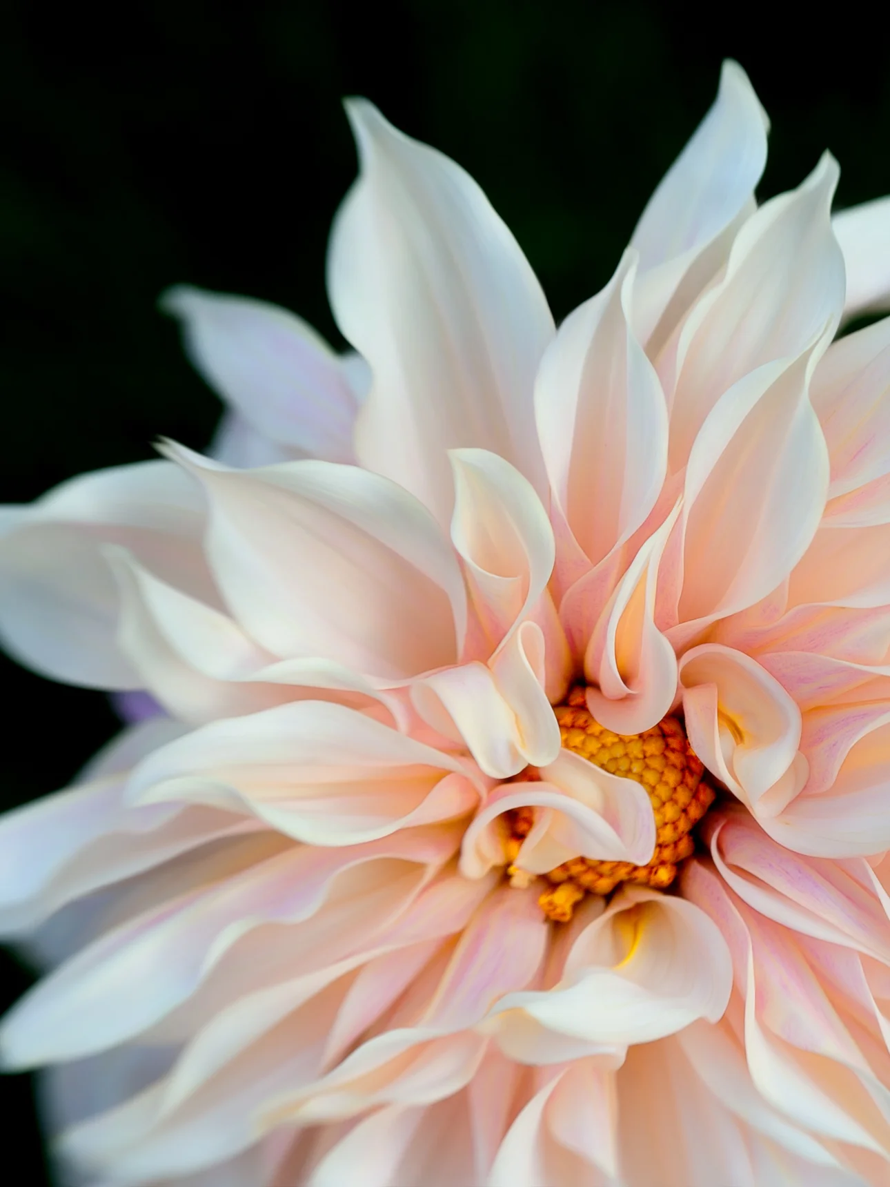 _SW20326-Edit-Edit-2.jpg