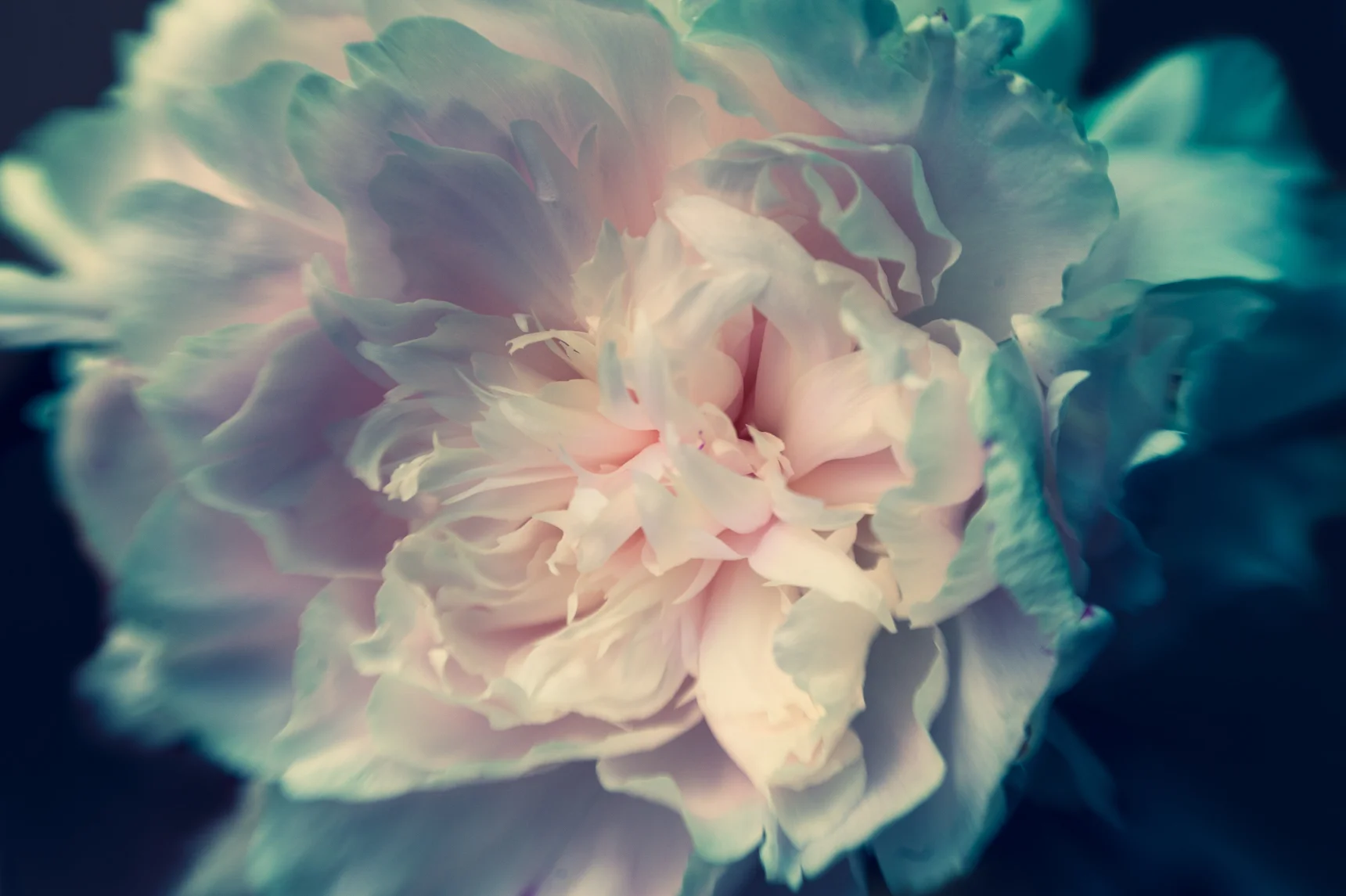 _SW21428-Edit.jpg