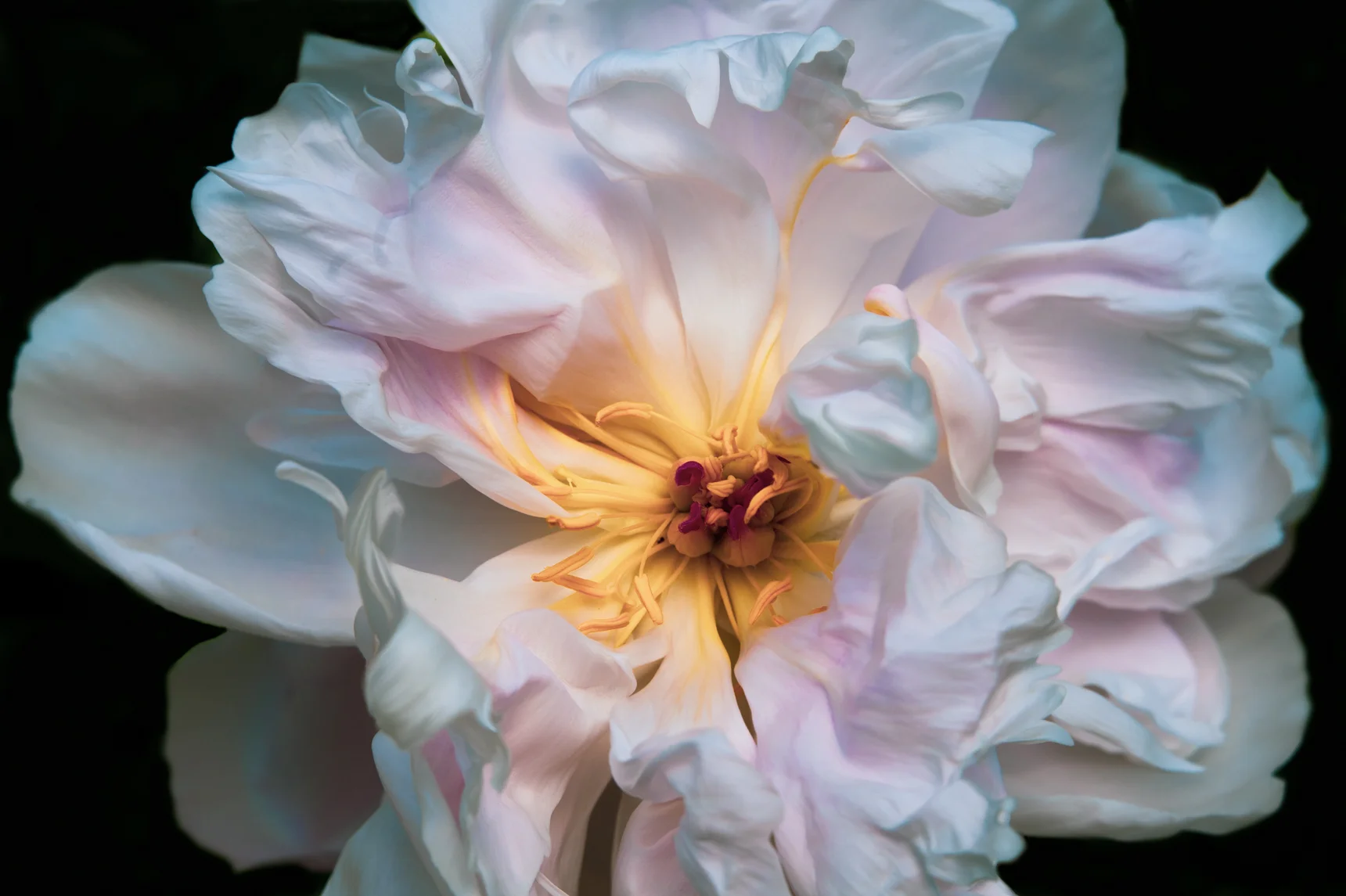 _SW20250-Edit-Edit.jpg