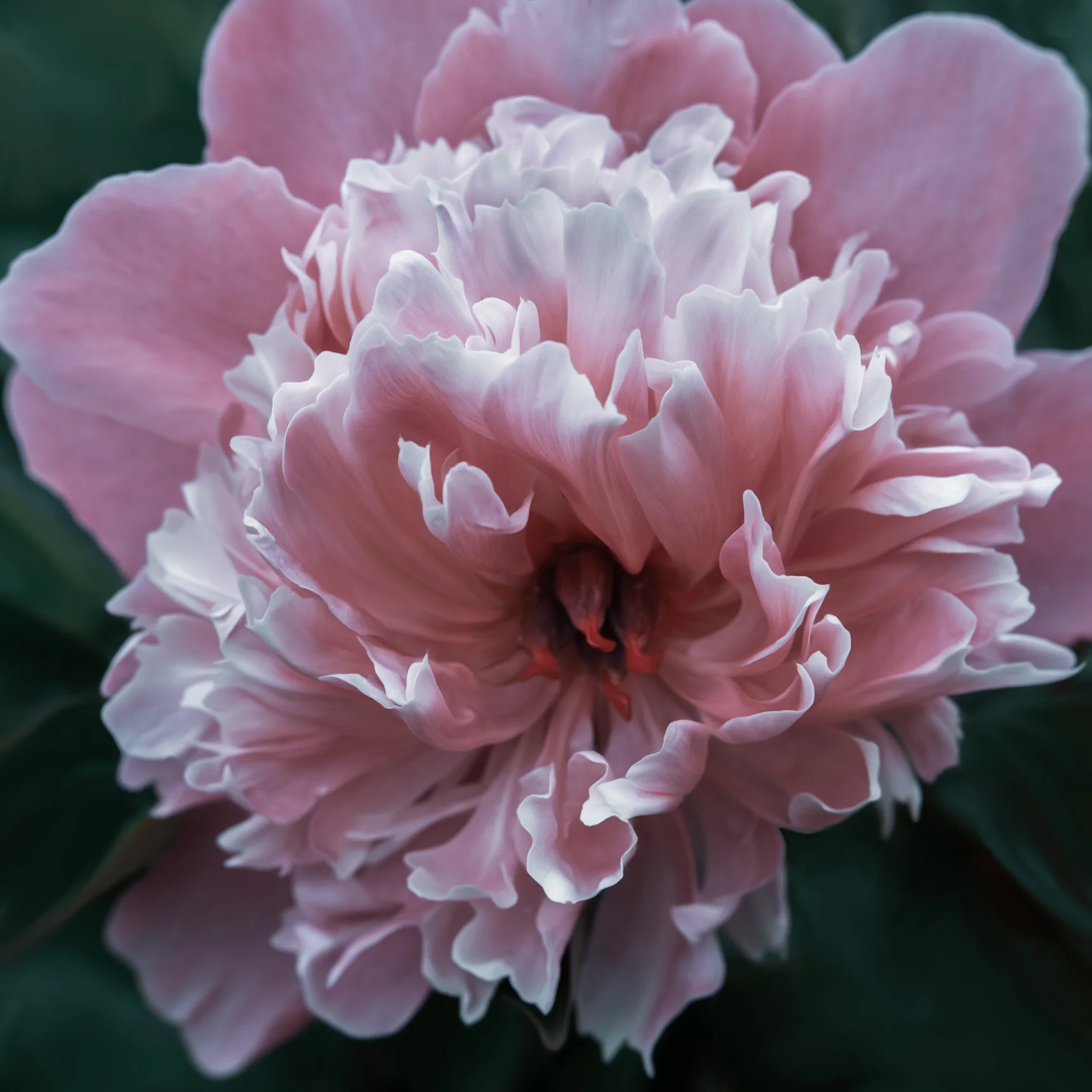 _SW28555-Edit-Edit-Edit-Edit.jpg