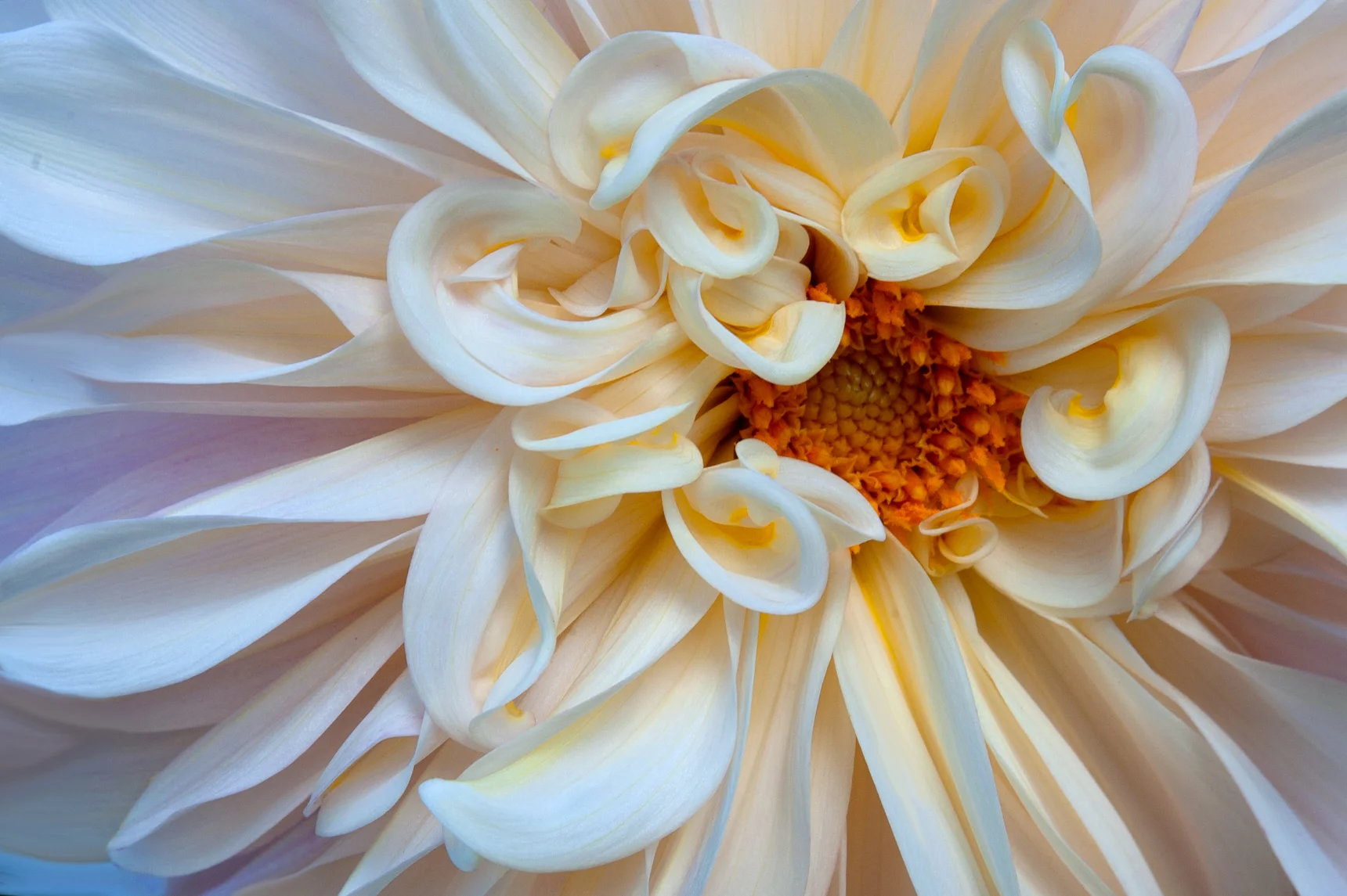_SW20486-Edit-Edit.jpg