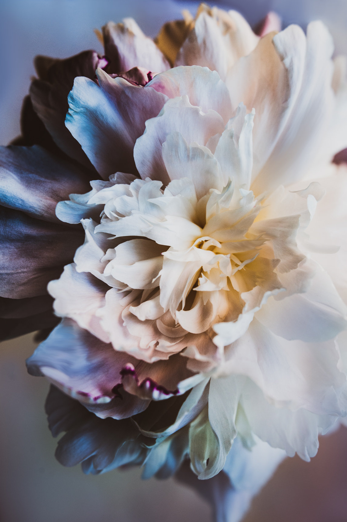 _SW21420-Edit-Edit-Edit.jpg
