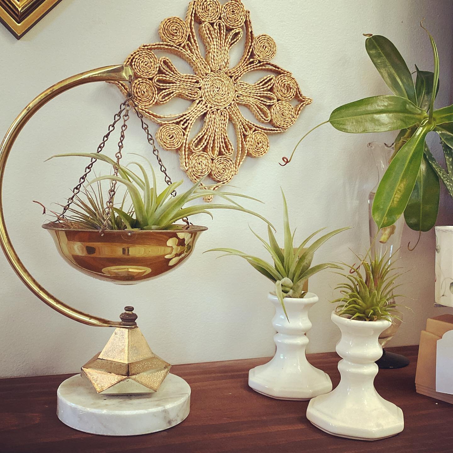 Everything vintage is  a plant holder ✨  DM to claim, venmo payment to hold, pickup @theshopon7 

🌱 Hanging air plants - $40 +tax
🌱 Candlestick air plants -set $30 +tax ($20 individually) 

Air plants are great for the novice plant owners
✨ soak on