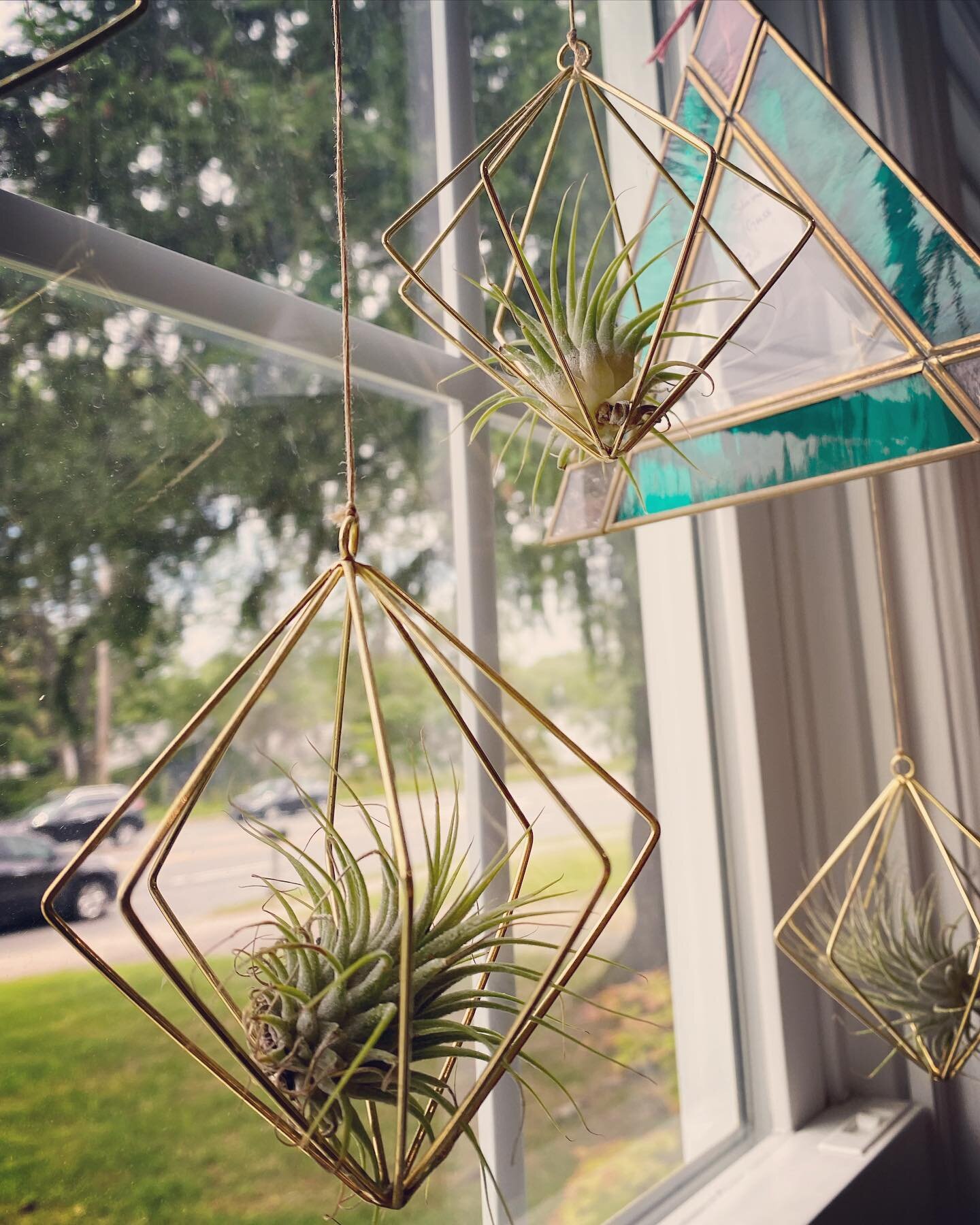 Hanging airplants (6 available)
🌱 $20 each

 
💡 Purchase all 6 for $100 and hang them staggered in a low light window!! 

Vintage stained glass $20 

✨ Pickup only @theshopon7 
✨ venmo payment to hold
