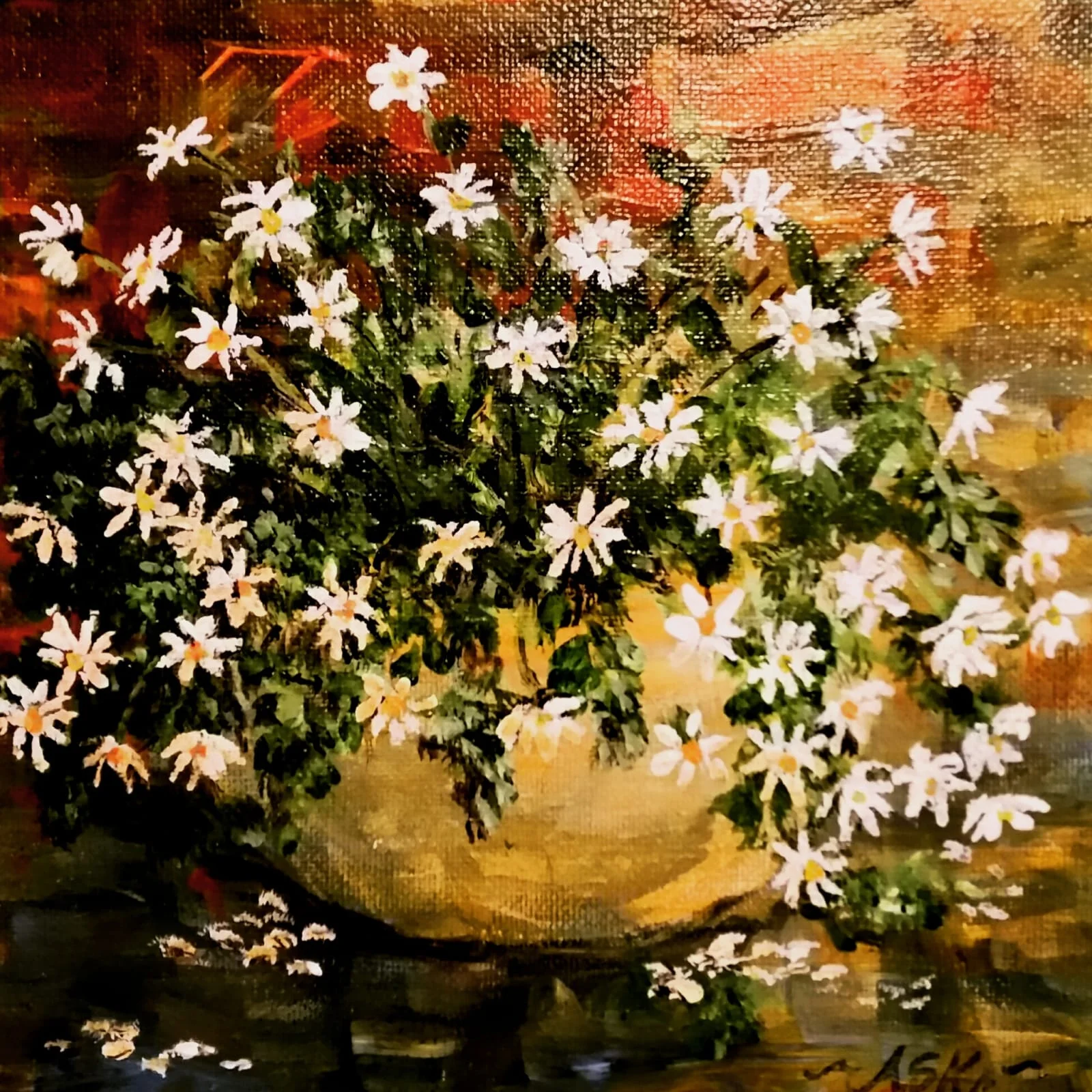 Daisies.JPG