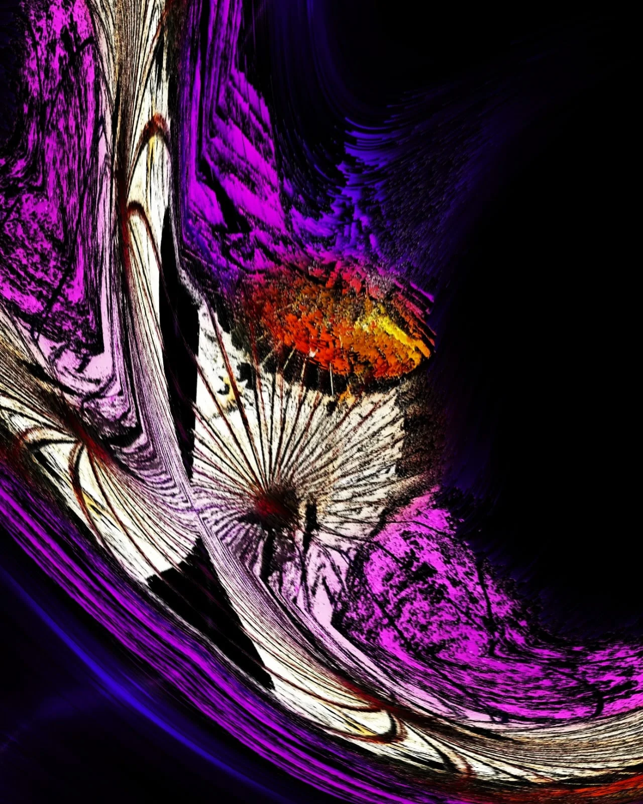 Pink in the Night.JPG