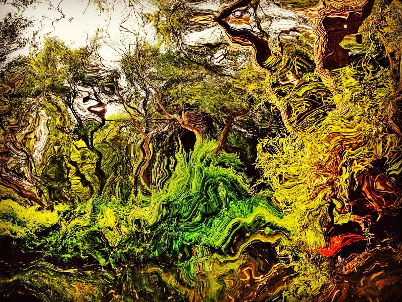 The Riverbank Breathes.JPG