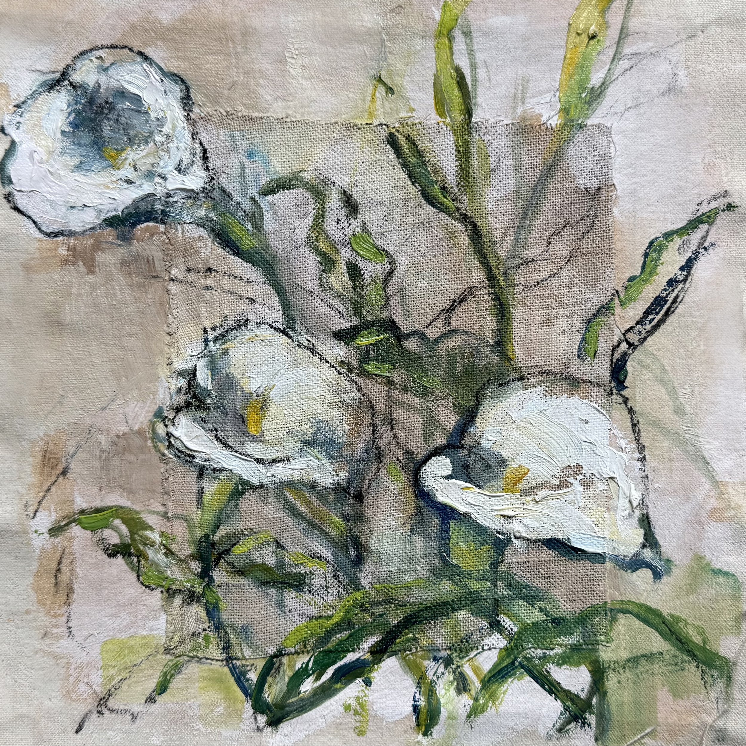 Calla Lilies