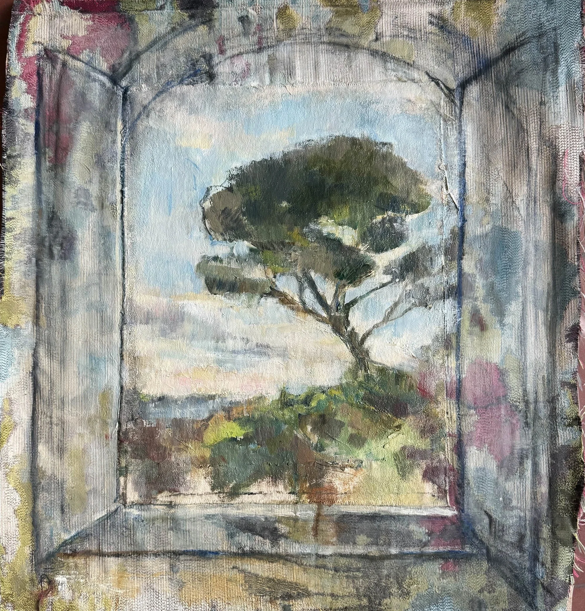 Umbrella Pine Tree    Fall Morning