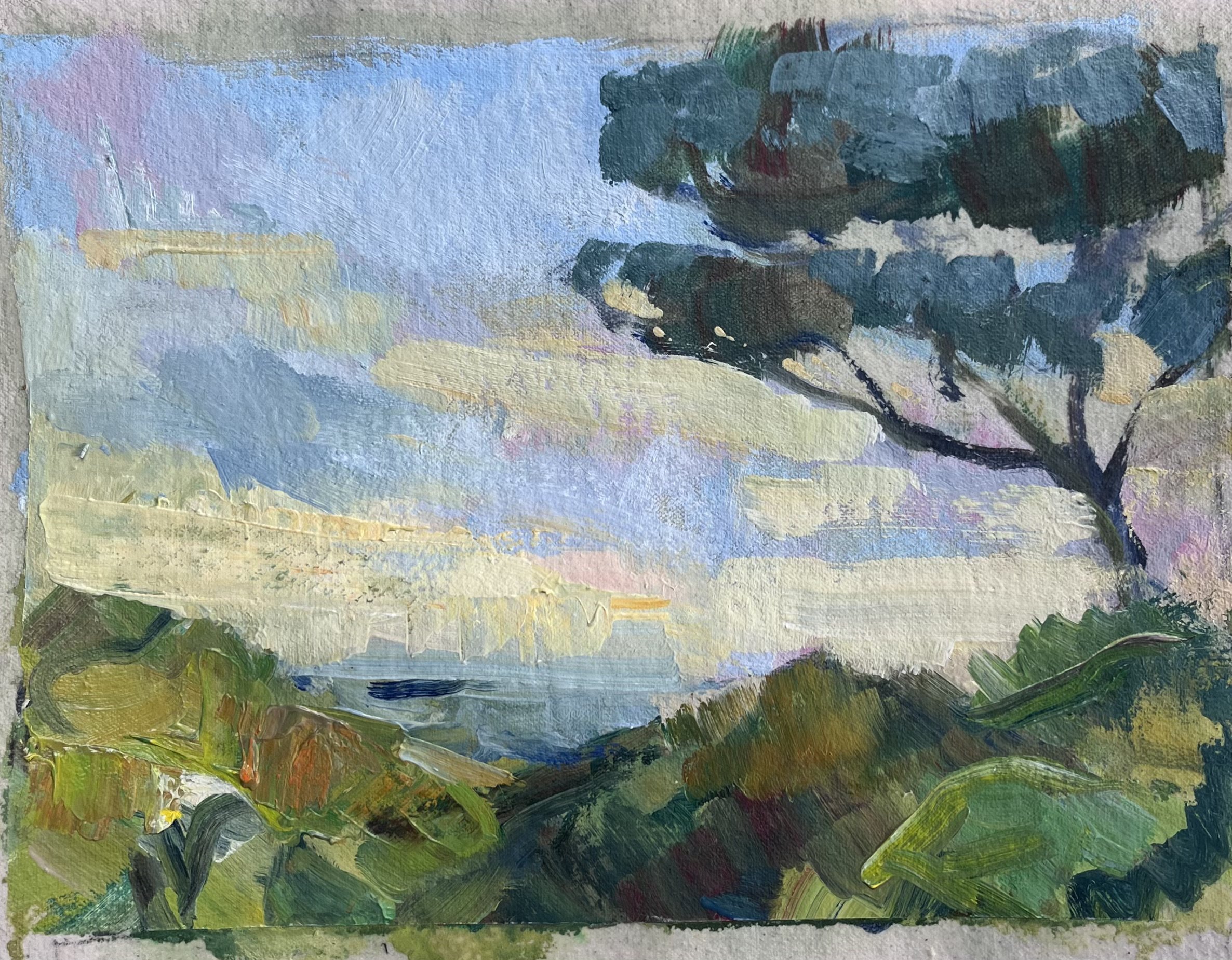 Pine Tree at Sunset