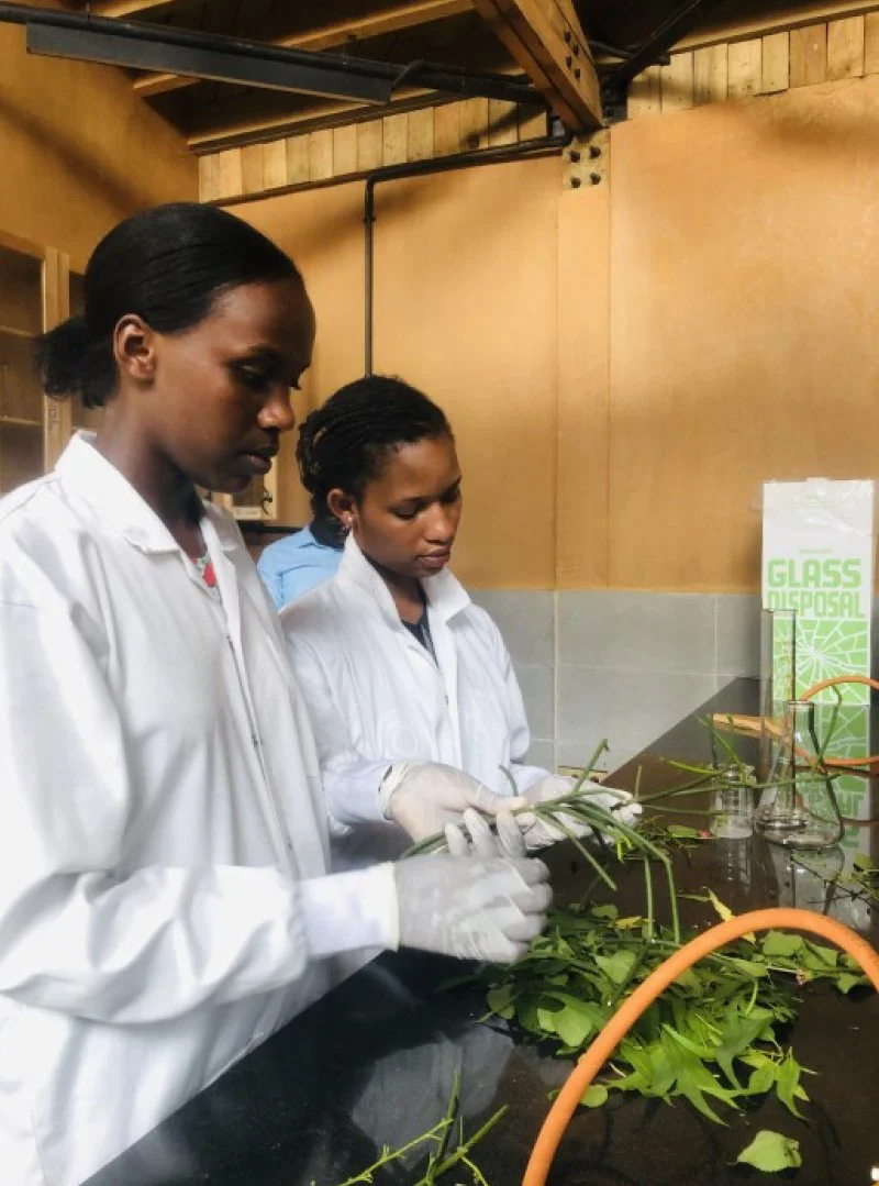 Circular Economy Game Changers