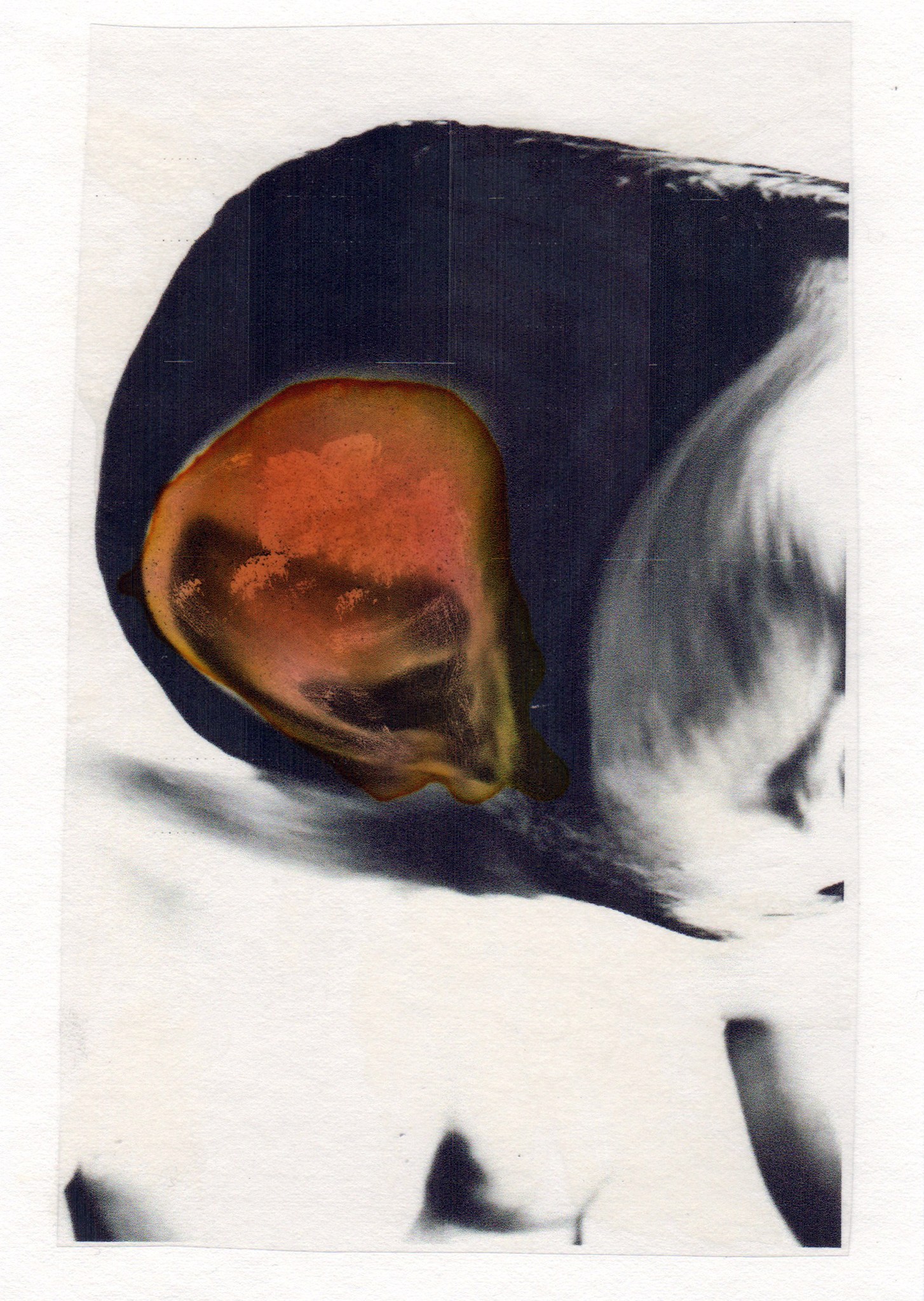 Lending an Ear 2015 acrylic watercolor mylar archival ink and paper 5 x 7