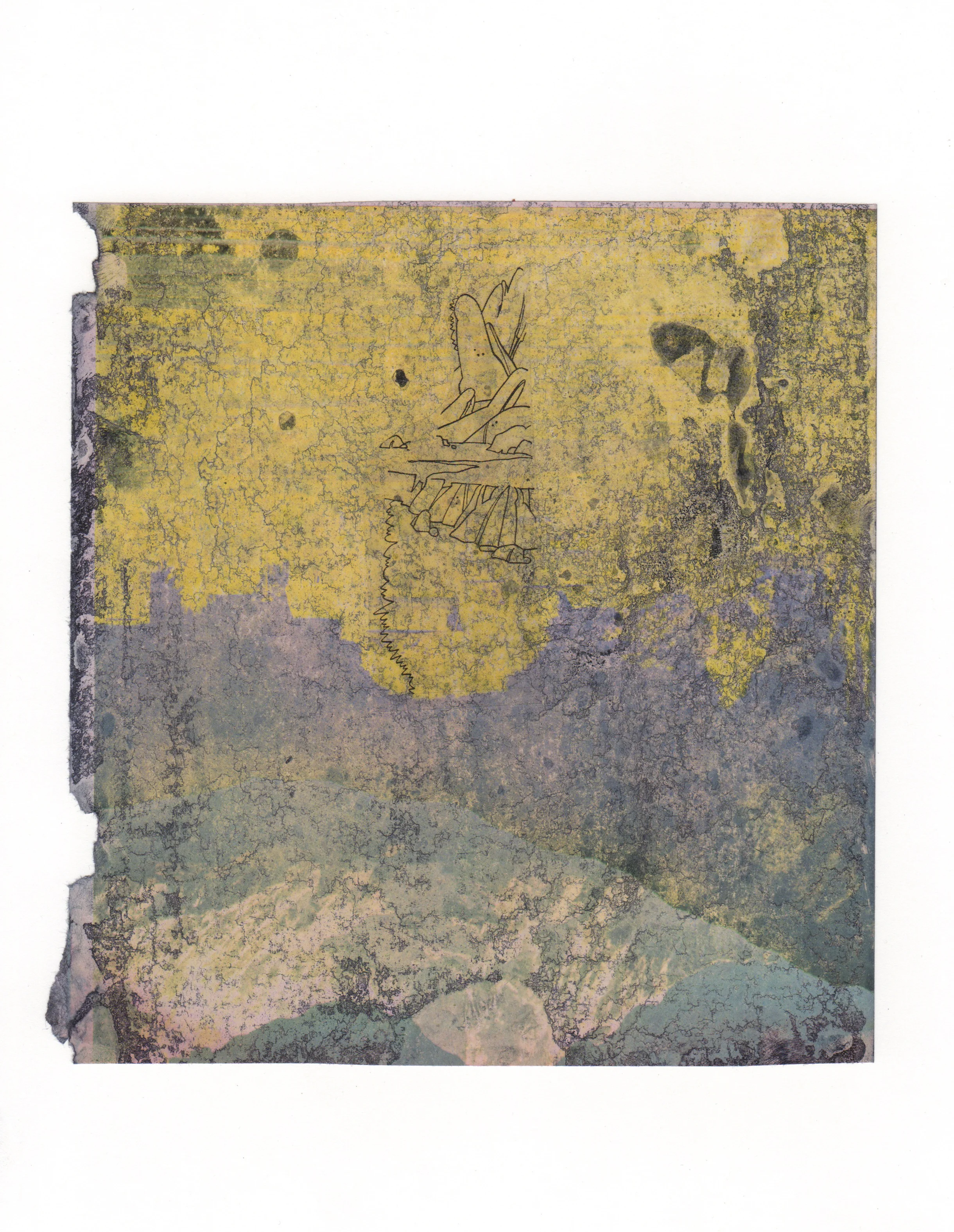 Fading Vision 2015 acrylic mylar archival ink and paper 8 5 x 11