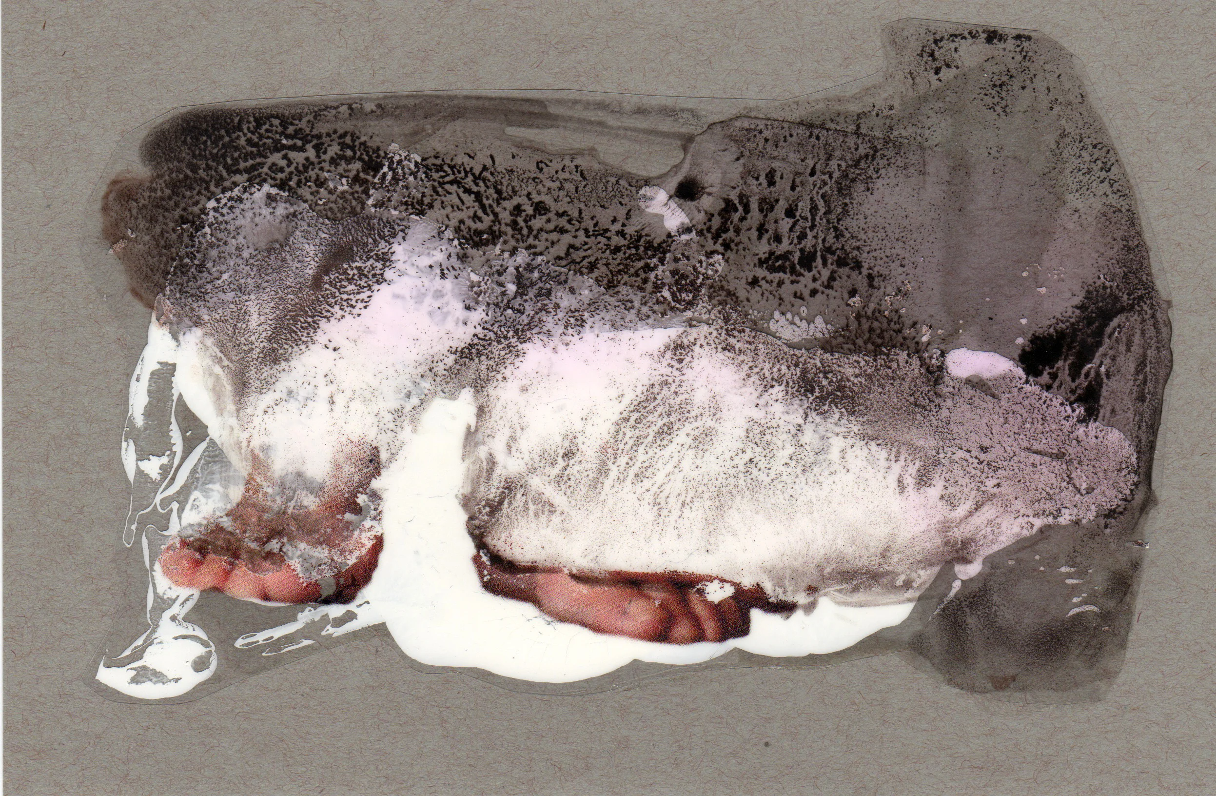 Awake, 2014, paint transparency archival ink and paper, 8.5x5.5 inches