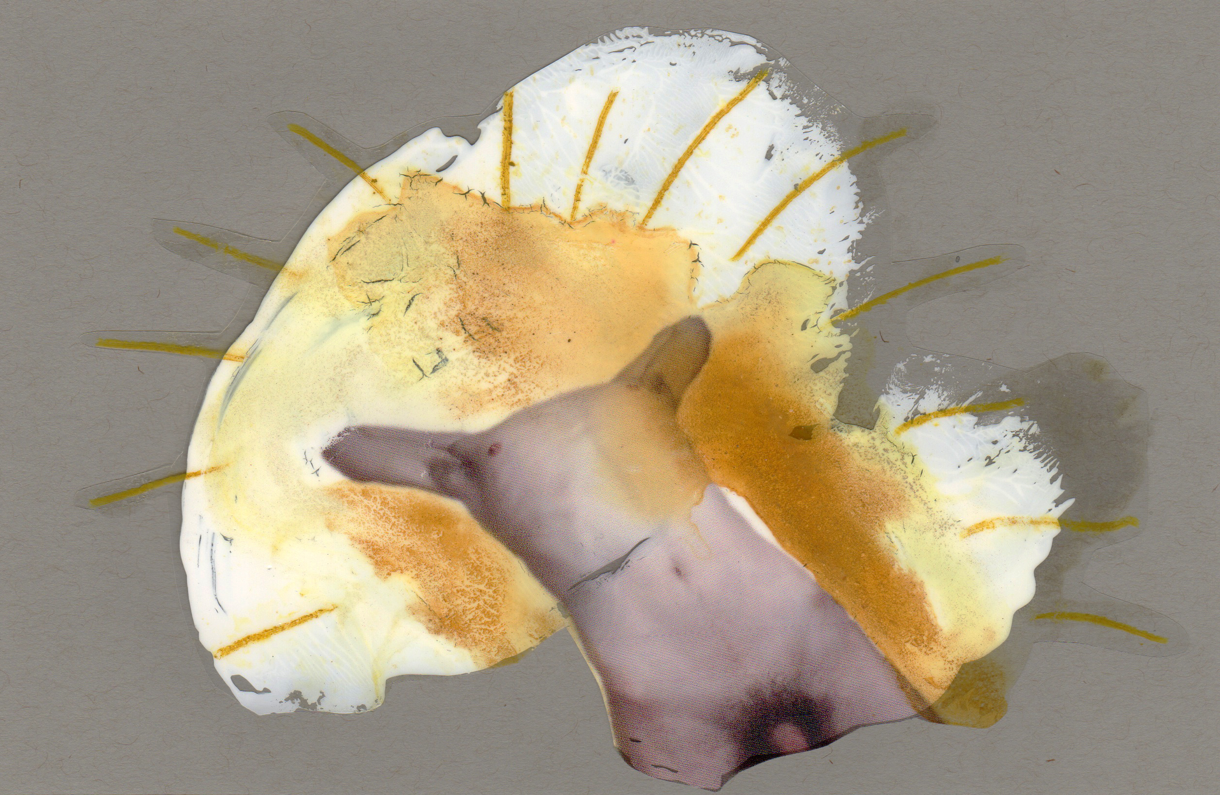Ecstasy, 2014, paint transparency archival ink and paper, 8.5x5.5 inches