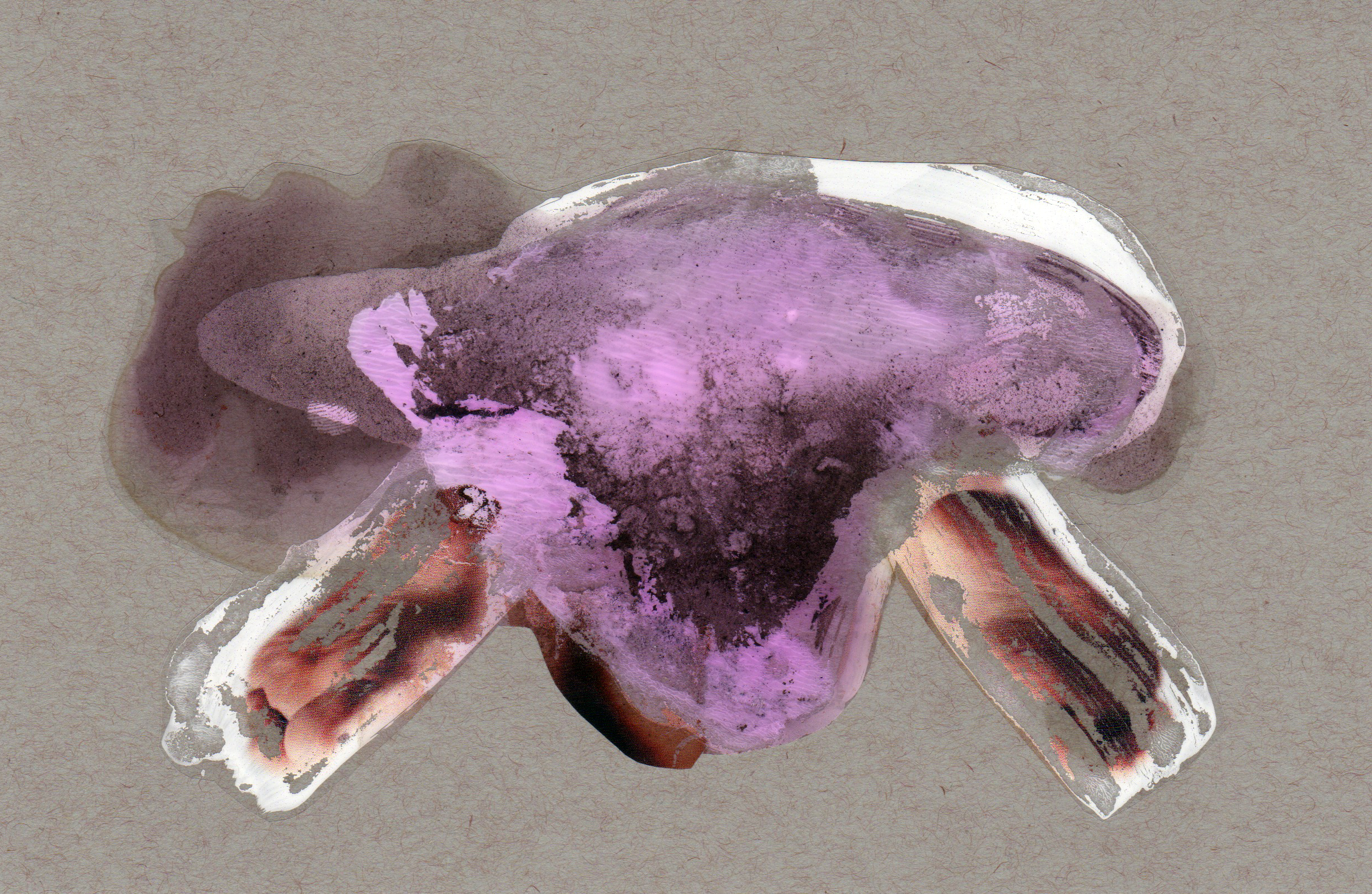 Jittery Jelly, 2014, paint transparency archival ink and paper, 8.5x5.5 inches