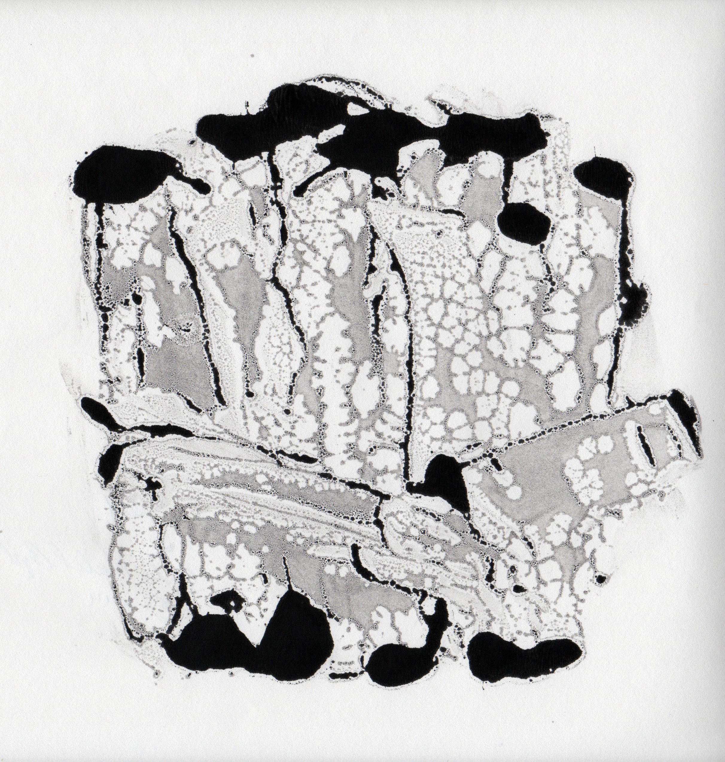 Reef 2, 2014, gelatin monotype, 10x9 inches
