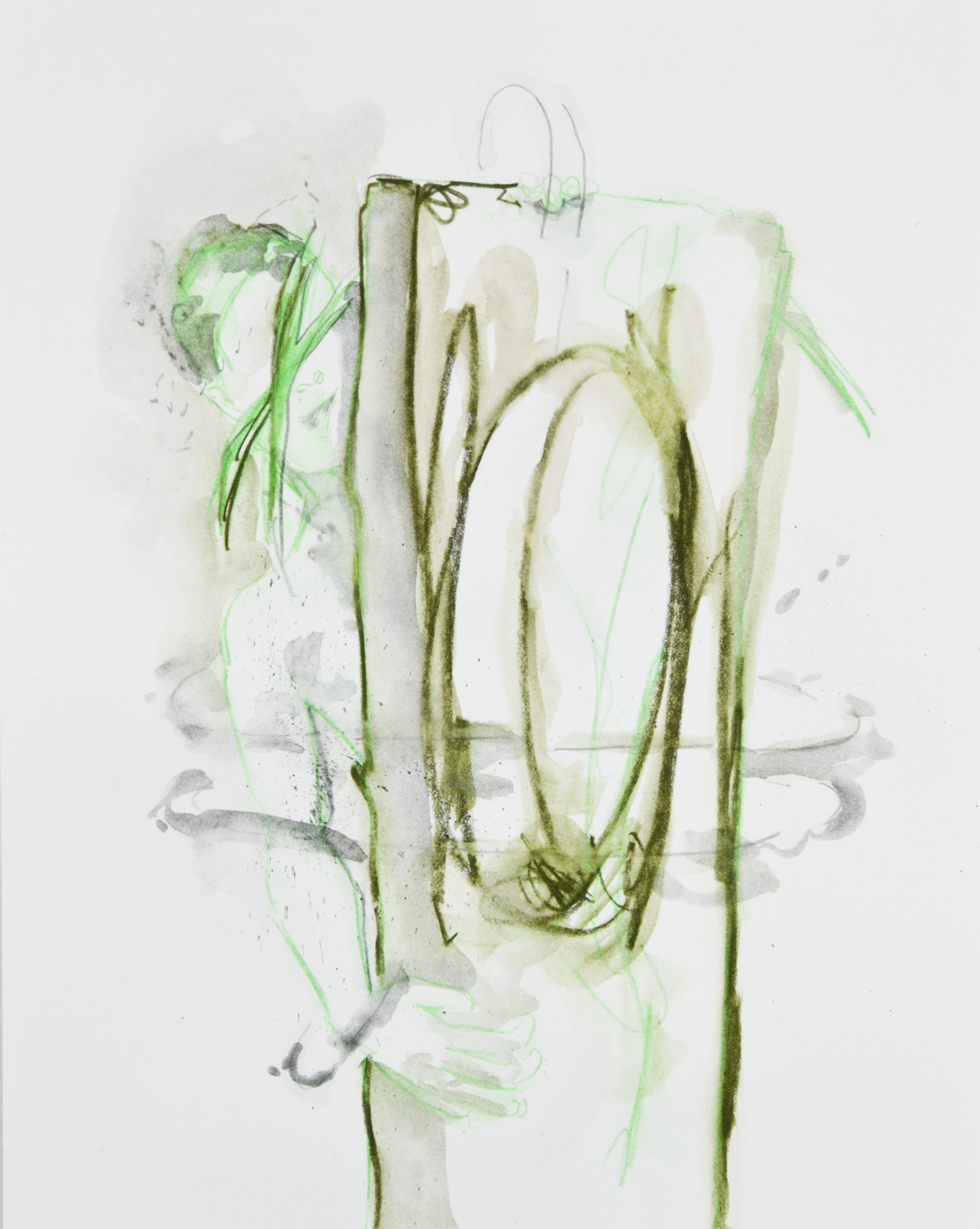 Green Fairy Light, 2013, graphite, crayon and watercolor pencil on paper, 11x14 inches