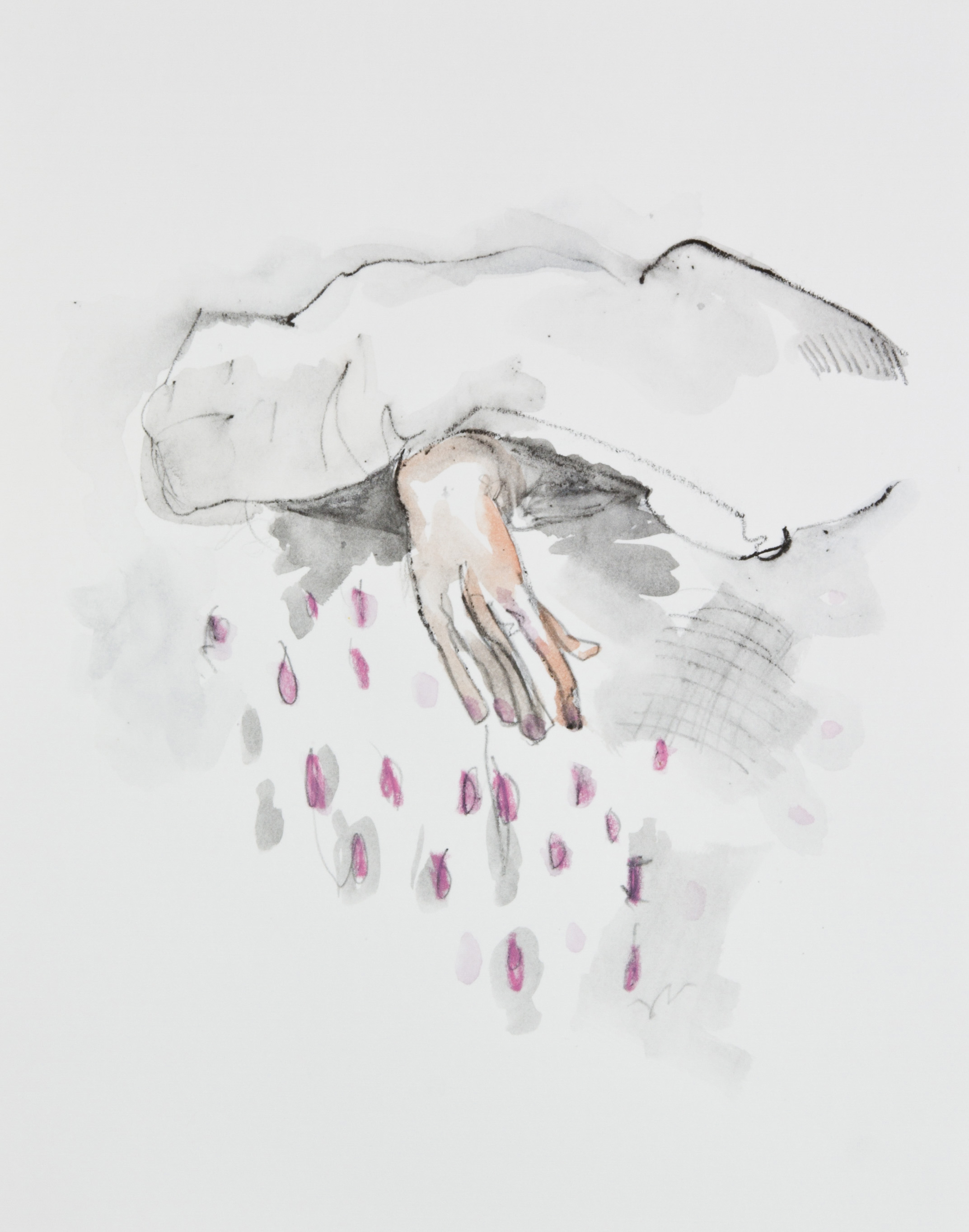 Pink Rain, 2013, graphite, crayon and watercolor pencil on paper, 11x14 inches