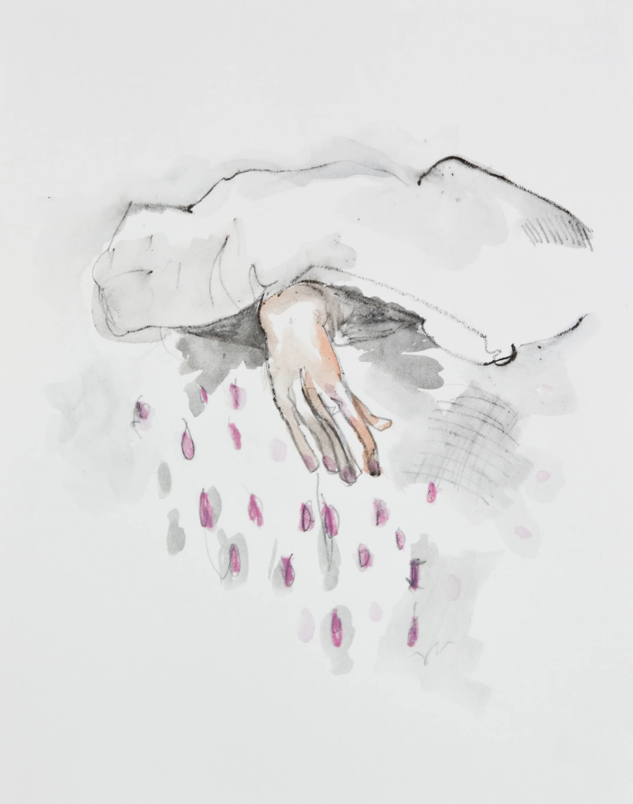 Pink Rain, 2013, graphite, crayon and watercolor pencil on paper, 11x14 inches