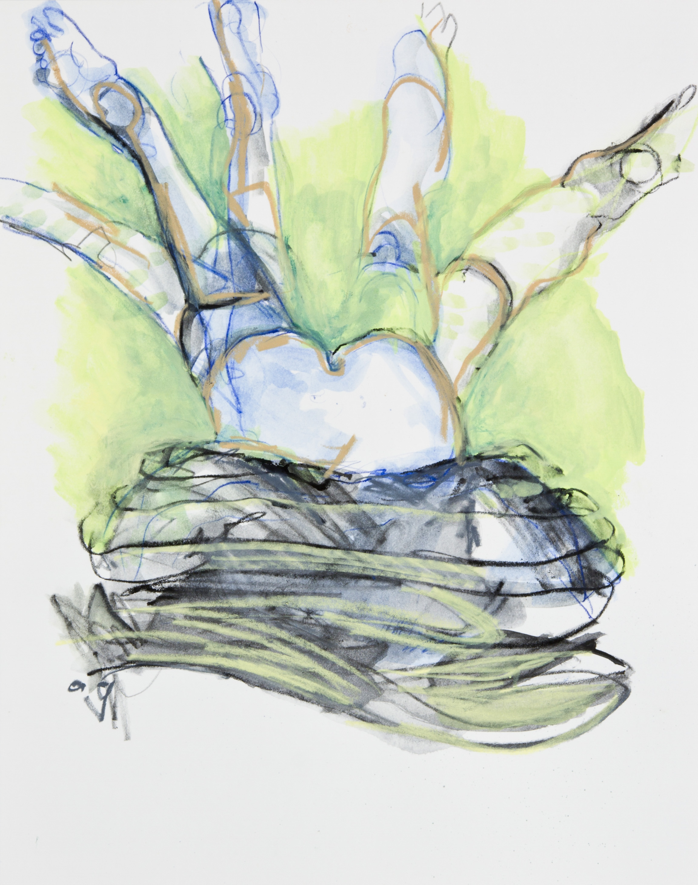 Wriggle Room, 2013, graphite, crayon and watercolor pencil on paper, 11x14 inches