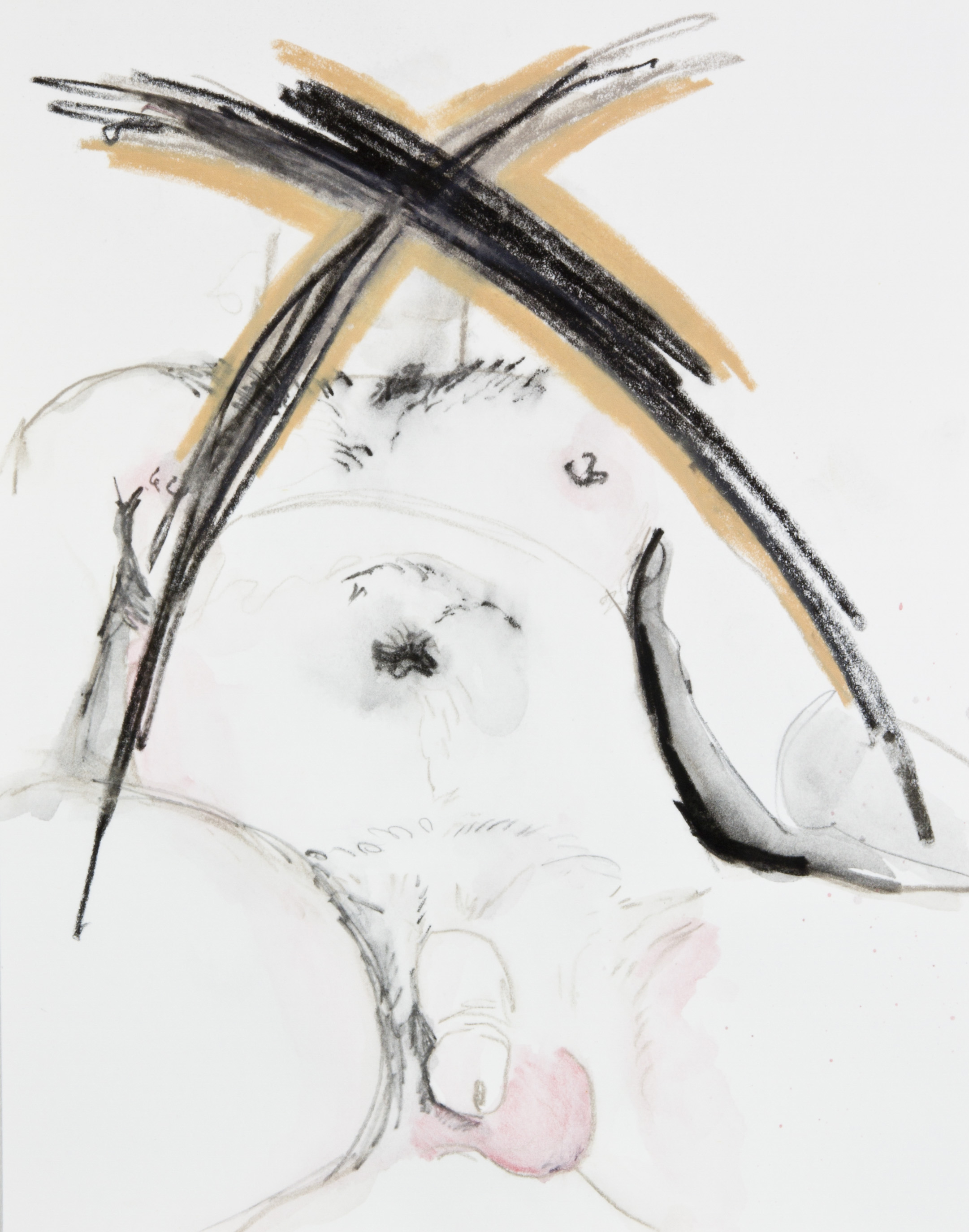 X Marks It, 2013, graphite, crayon and watercolor pencil on paper, 11x14 inches