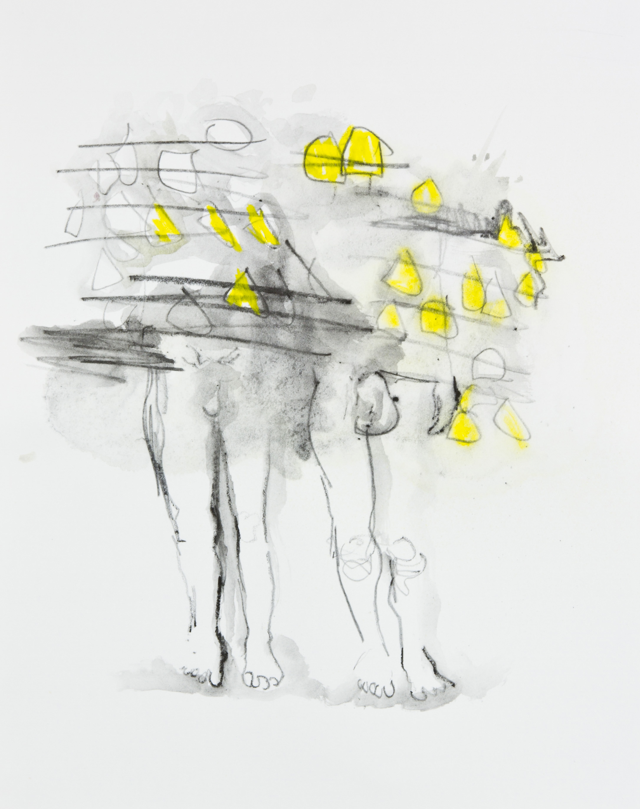 Yellow Creeping Around And In, 2013, graphite, crayon and watercolor pencil on paper, 11x14 inches