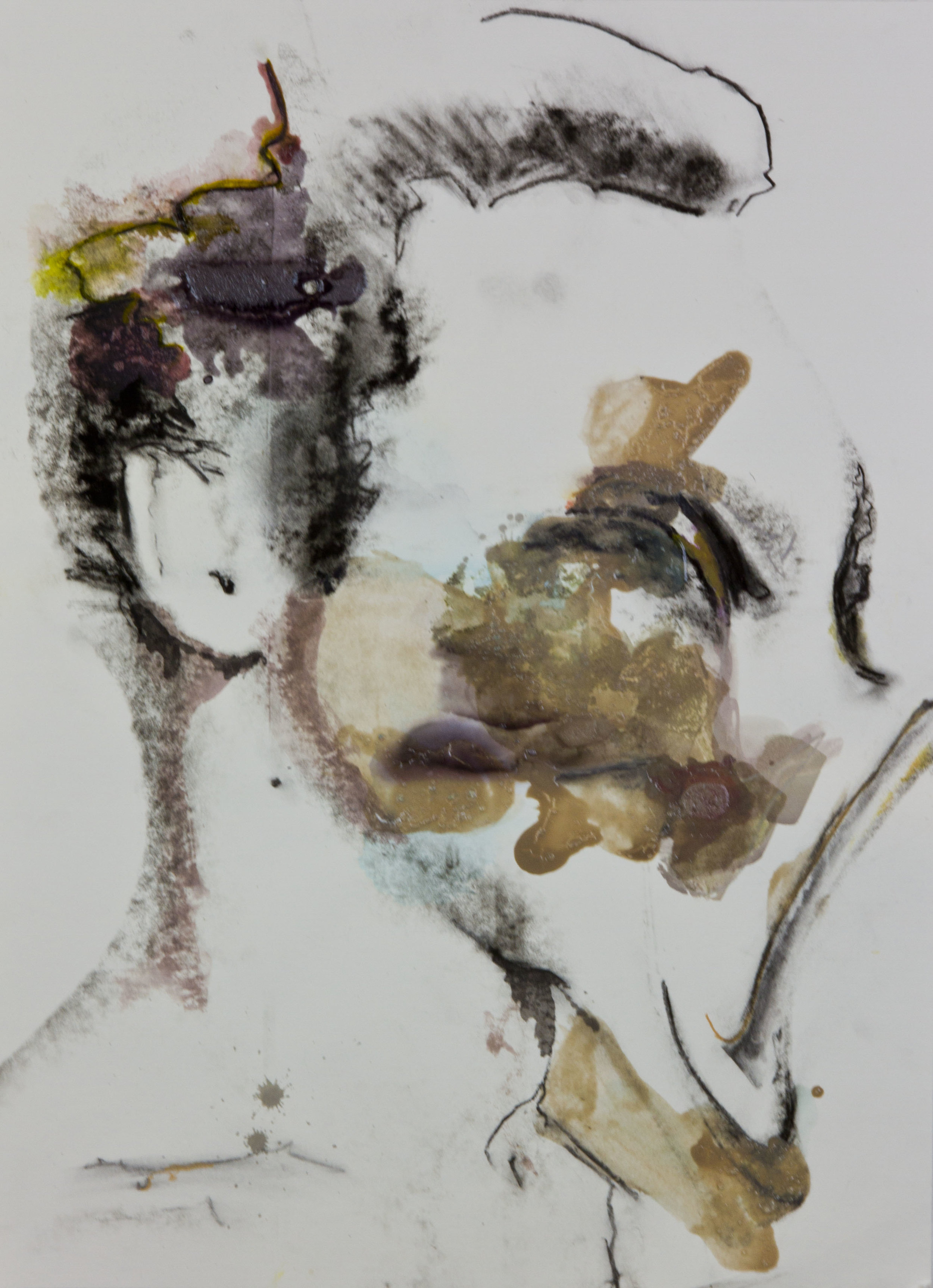 Mudslide Face, 2012, watercolor, acrylic and ink transfer on paper, 22x30 inches