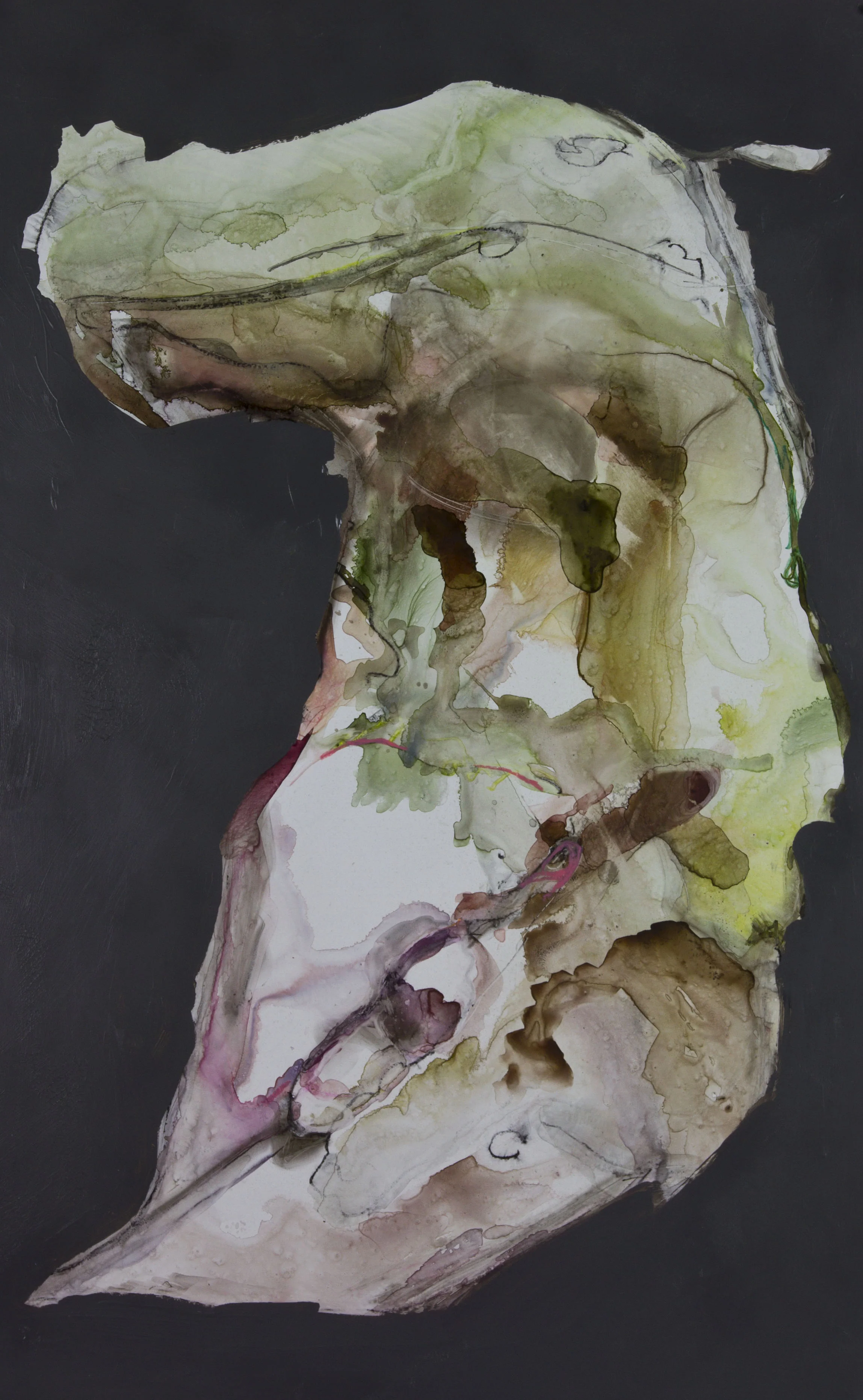 Come Inside, 2011, watercolor and acrylic on polypropylene, 26x39 inches