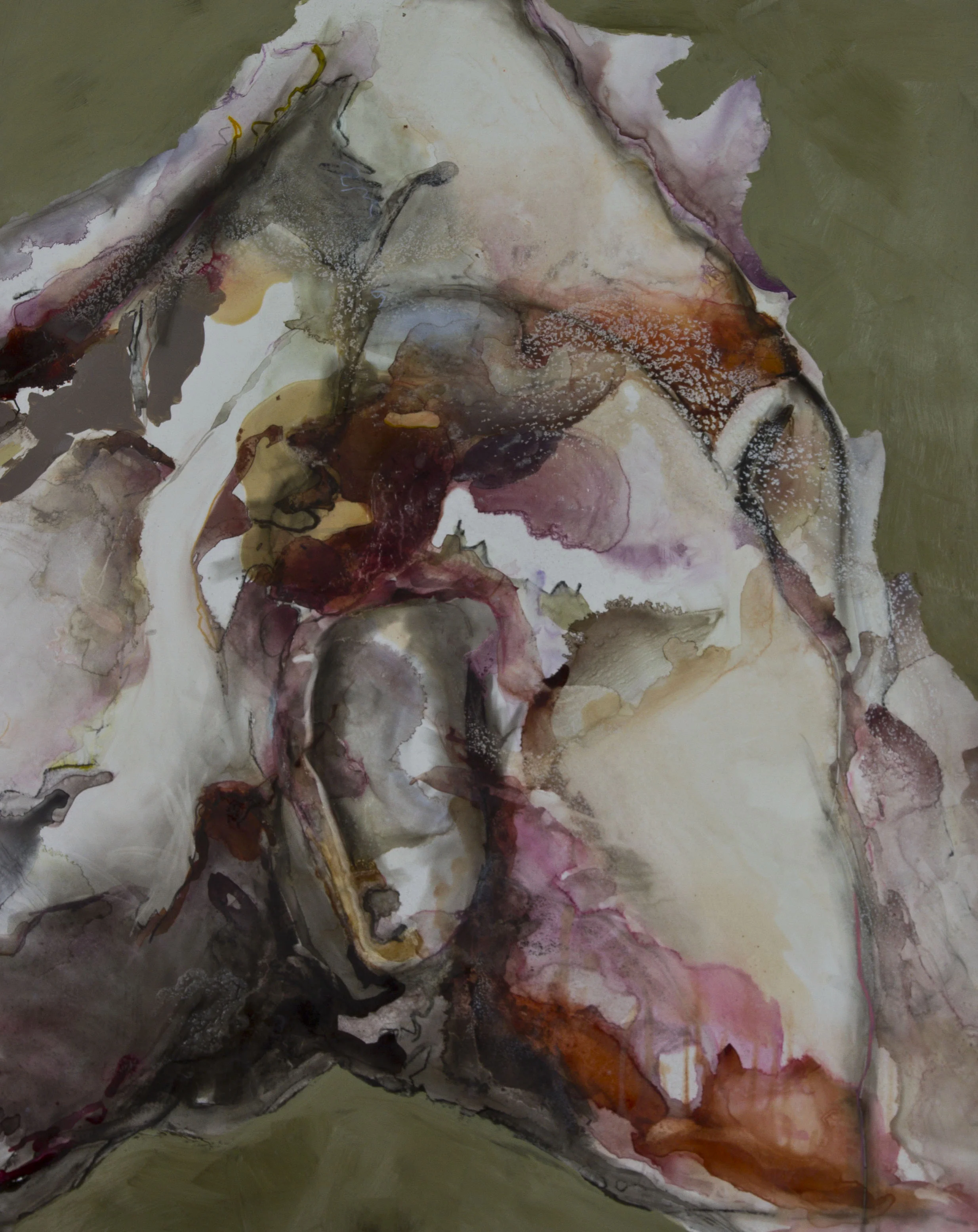 Suck My Cockiness, 2011, watercolor and acrylic on polypropylene, 35x44 inches