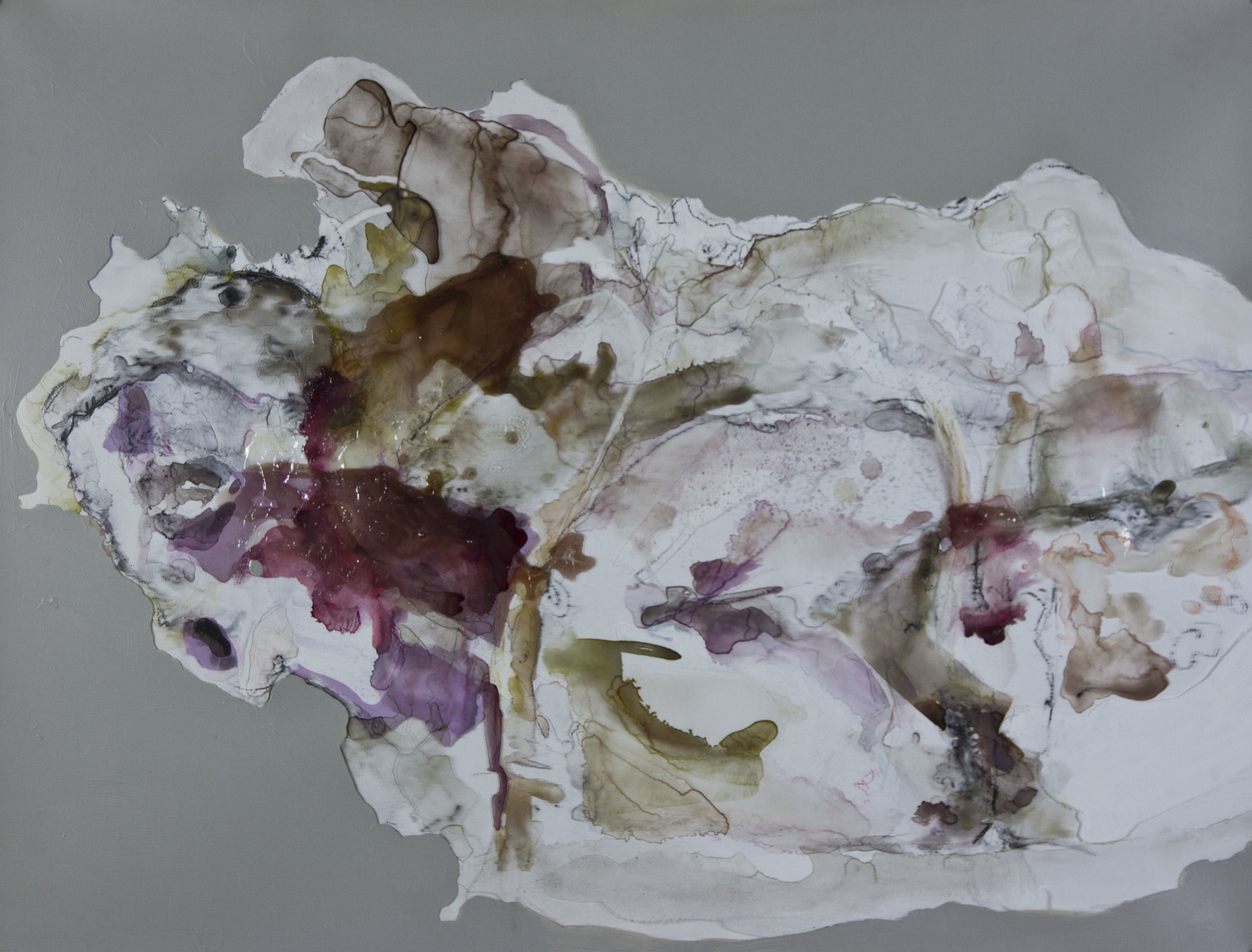 Born to Blossom, Bloom to Perish, 2012, watercolor and acrylic on mylar, 30x40 inches