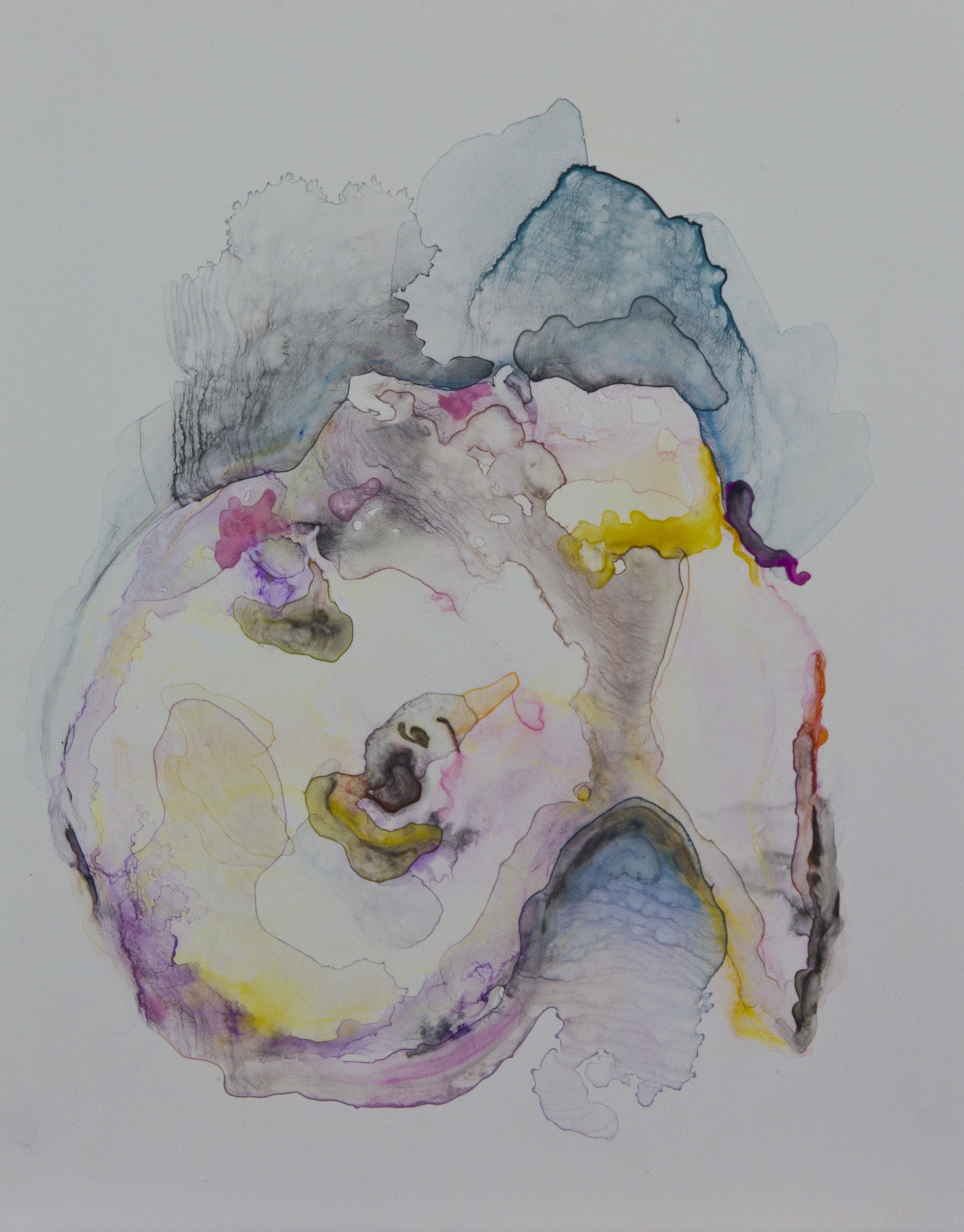 Specimen 3, 2011, watercolor on polypropylene, 11x14 inches