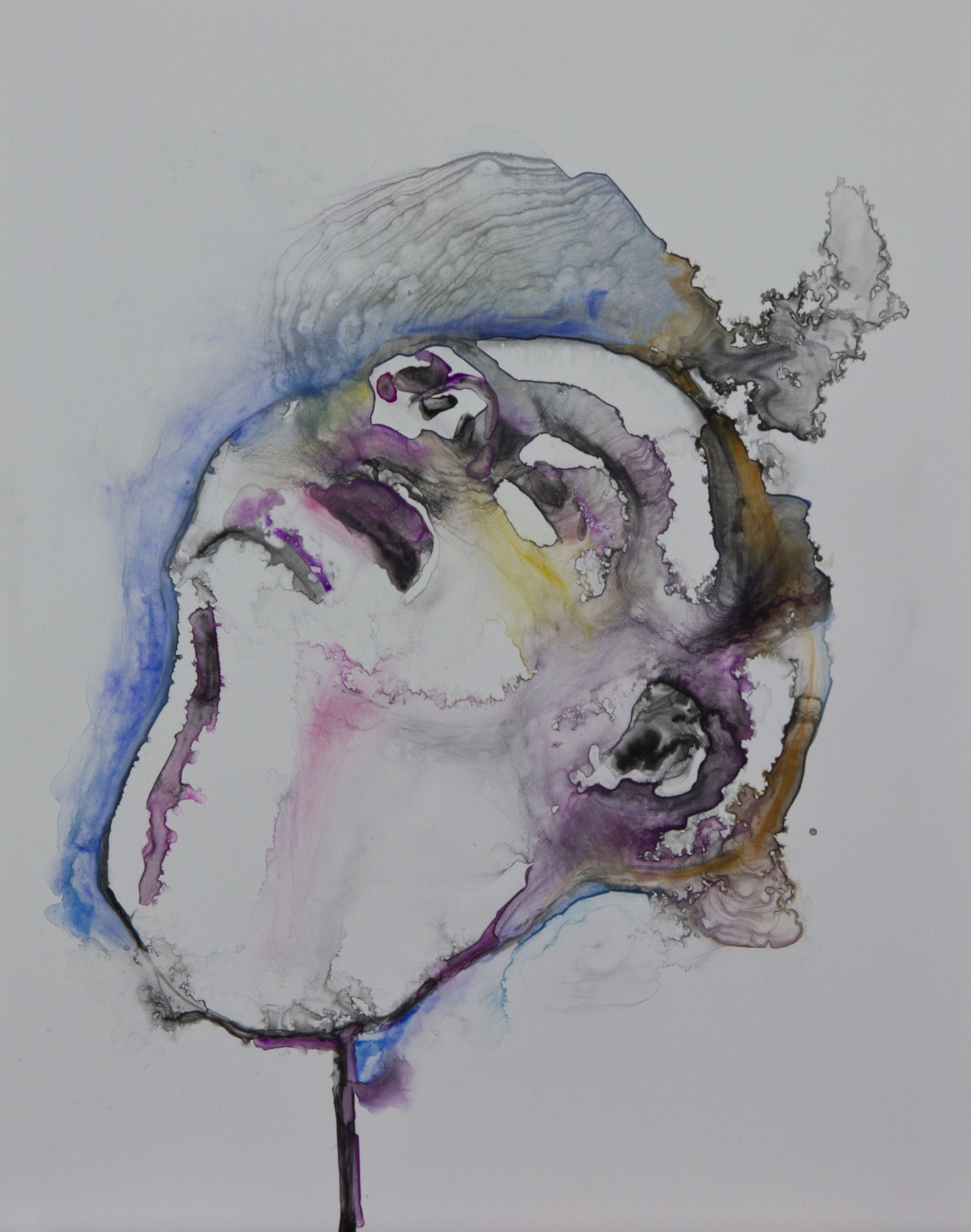 Specimen 2, 2011, watercolor on polypropylene, 11x14 inches