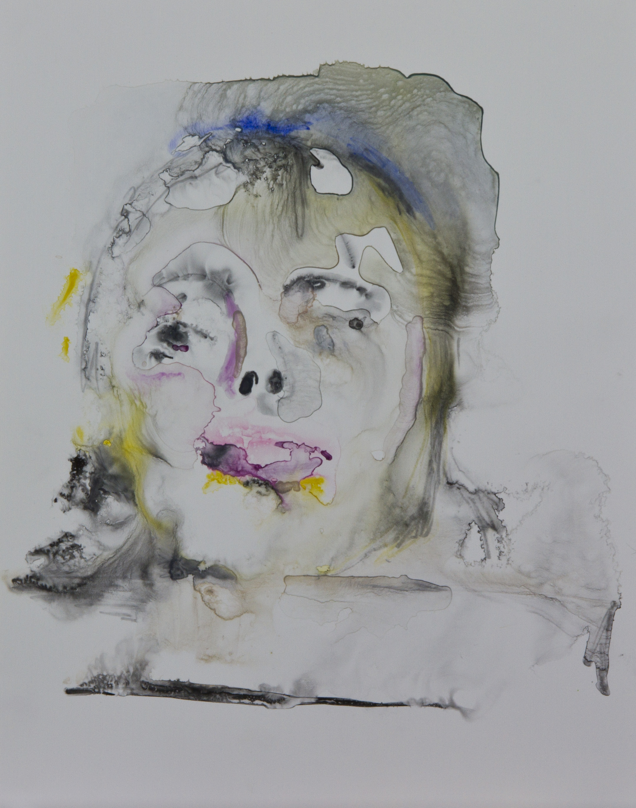 Specimen 4, 2011, watercolor on polypropylene, 11x14 inches