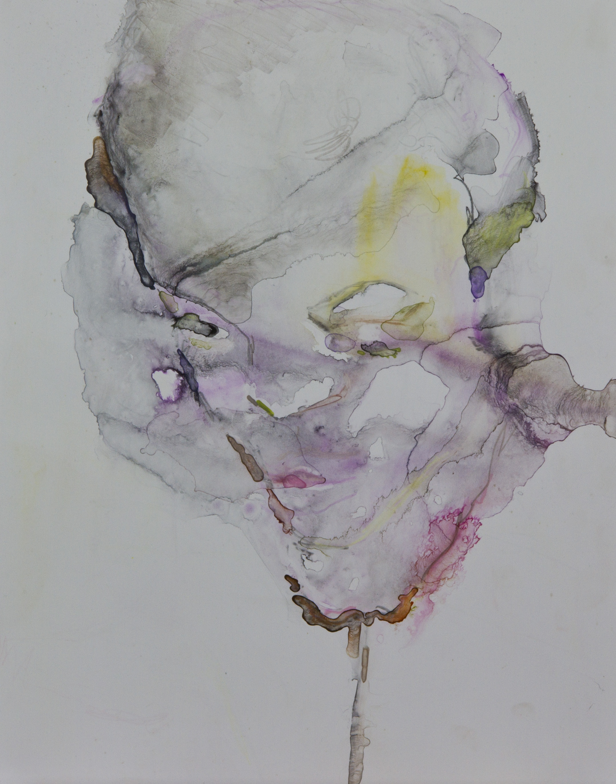 Specimen 7, 2011, watercolor on polypropylene, 11x14 inches