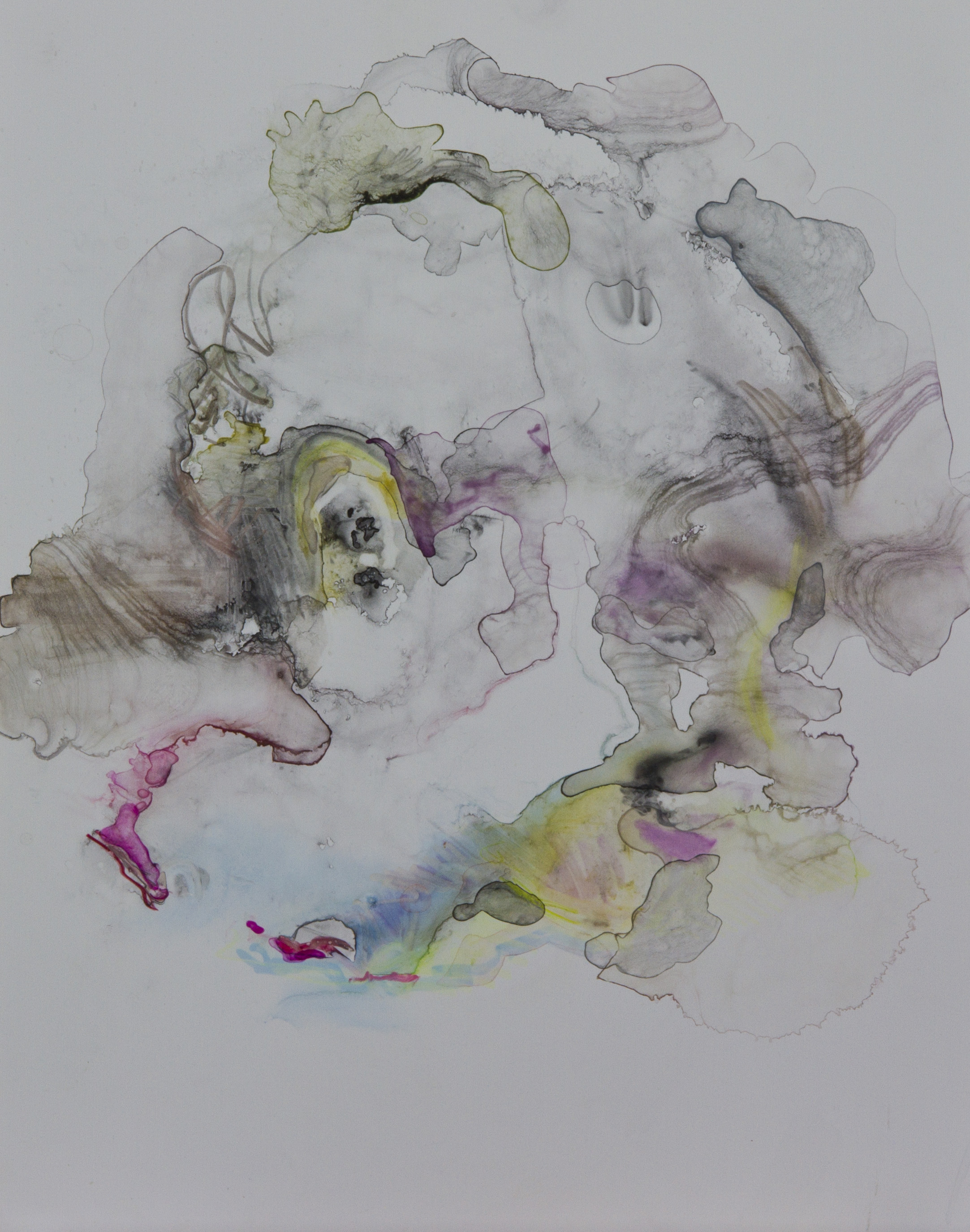 Specimen 8, 2011, watercolor on polypropylene, 11x14 inches