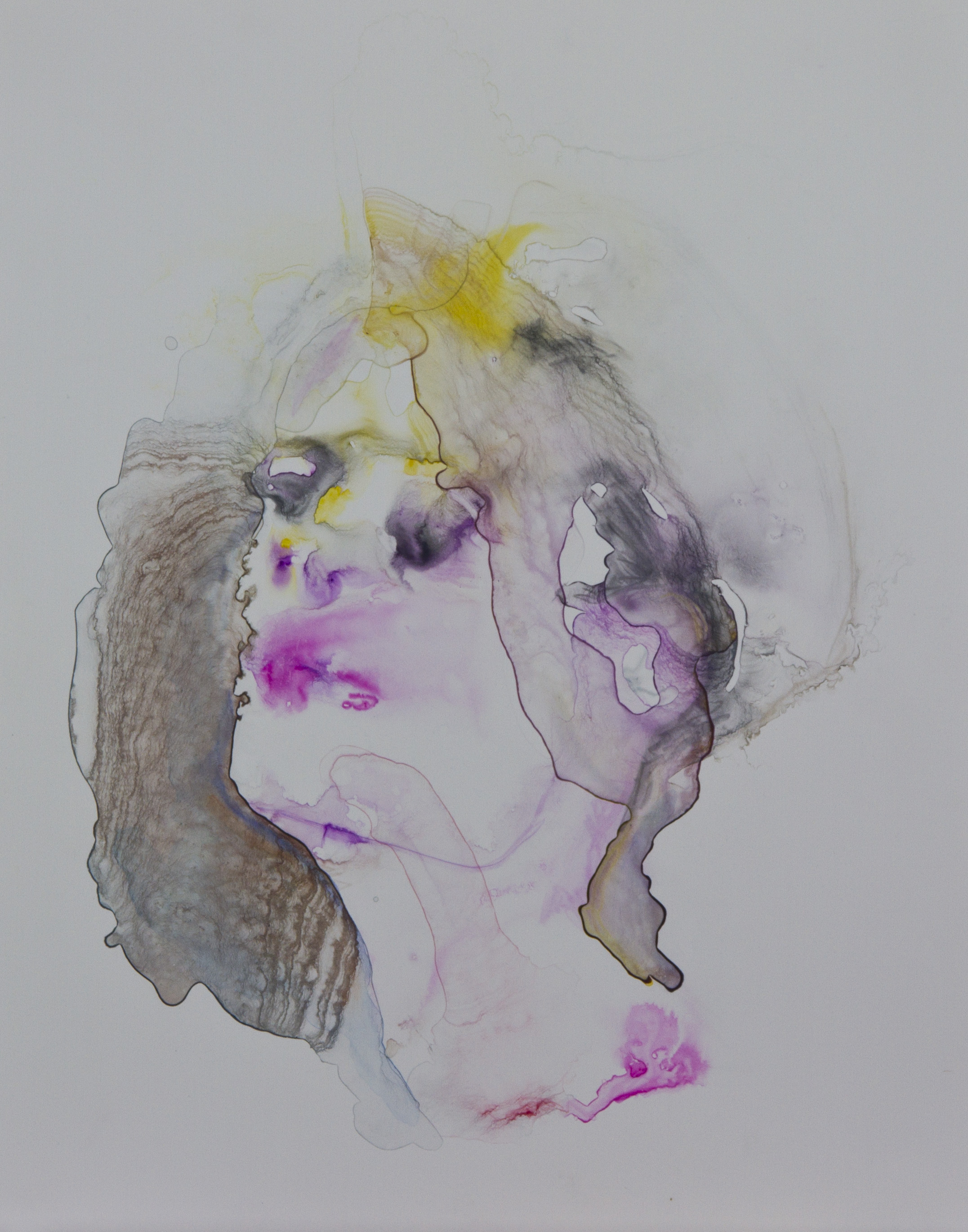 Specimen 10, 2011, watercolor on polypropylene, 11x14 inches