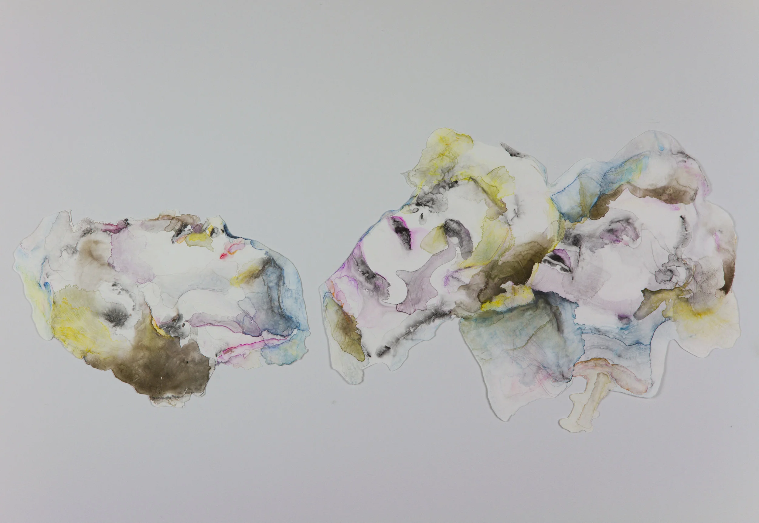 Soothsayers, 2011, watercolor on polypropylene, sizes vary approximately 46x30 inches