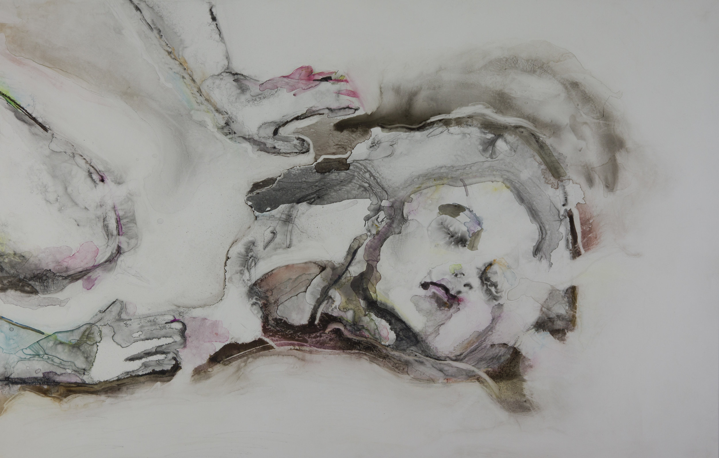 This Face Is Free, 2011, watercolor on polypropylene, 26x40 inches