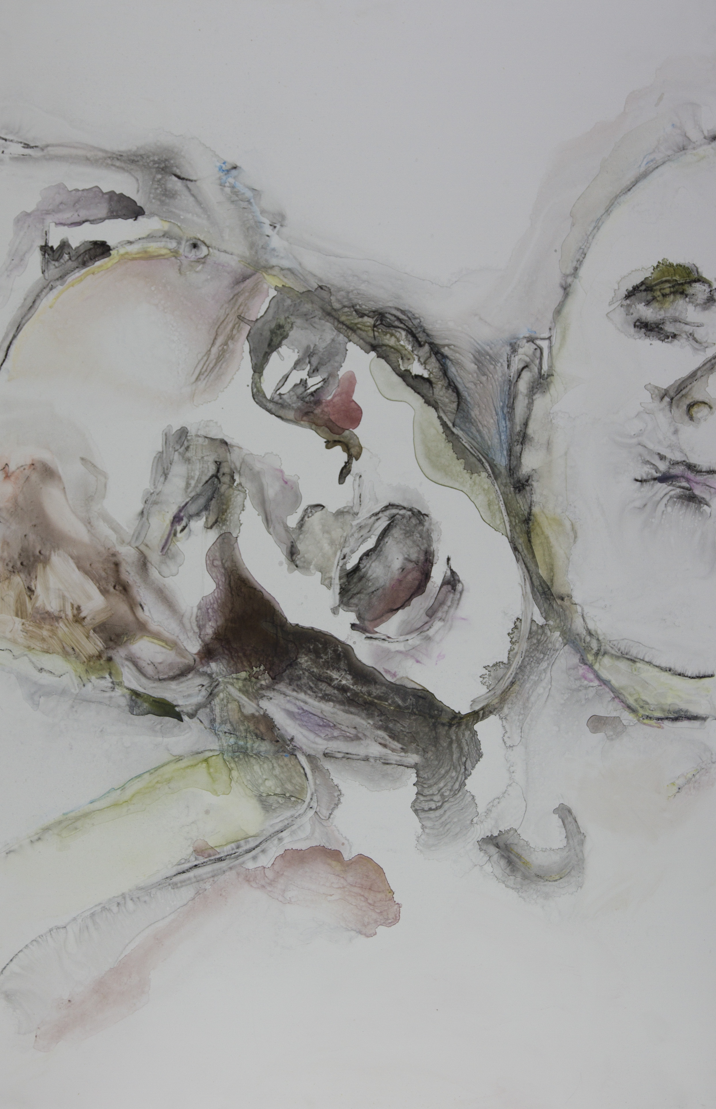 Cause of Your Se Chromosome, 2011, watercolor on polypropylene, 26x40 inches