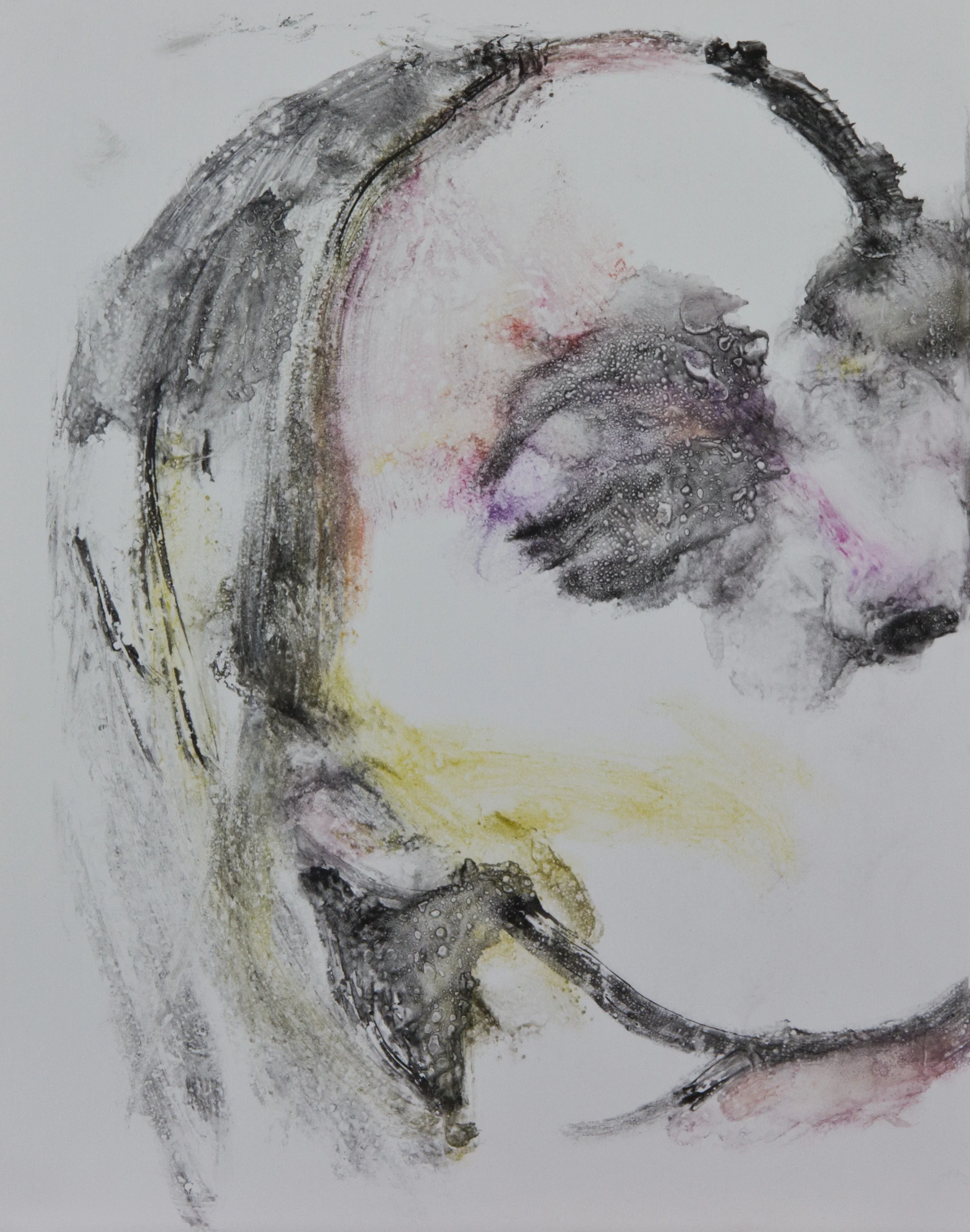 Acts 4, 2010, watercolor monotype on polypropylene, 11x14 inches