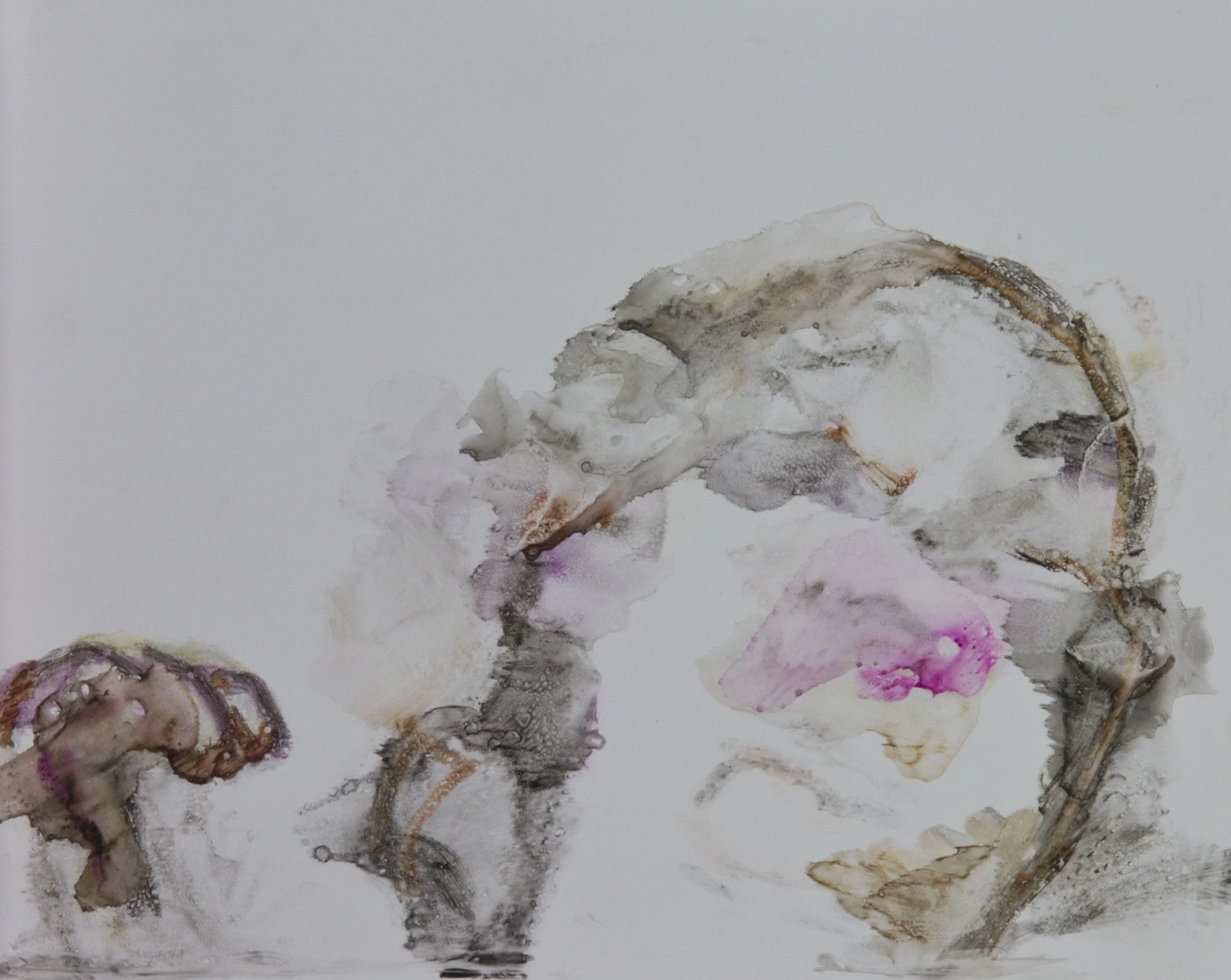 Acts 15, 2010, watercolor monotype on polypropylene, 11x14 inches
