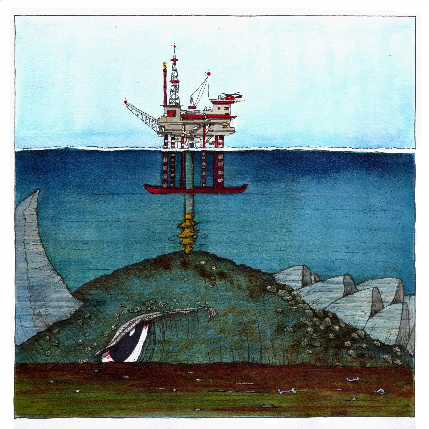 Shell to sea copy.jpg