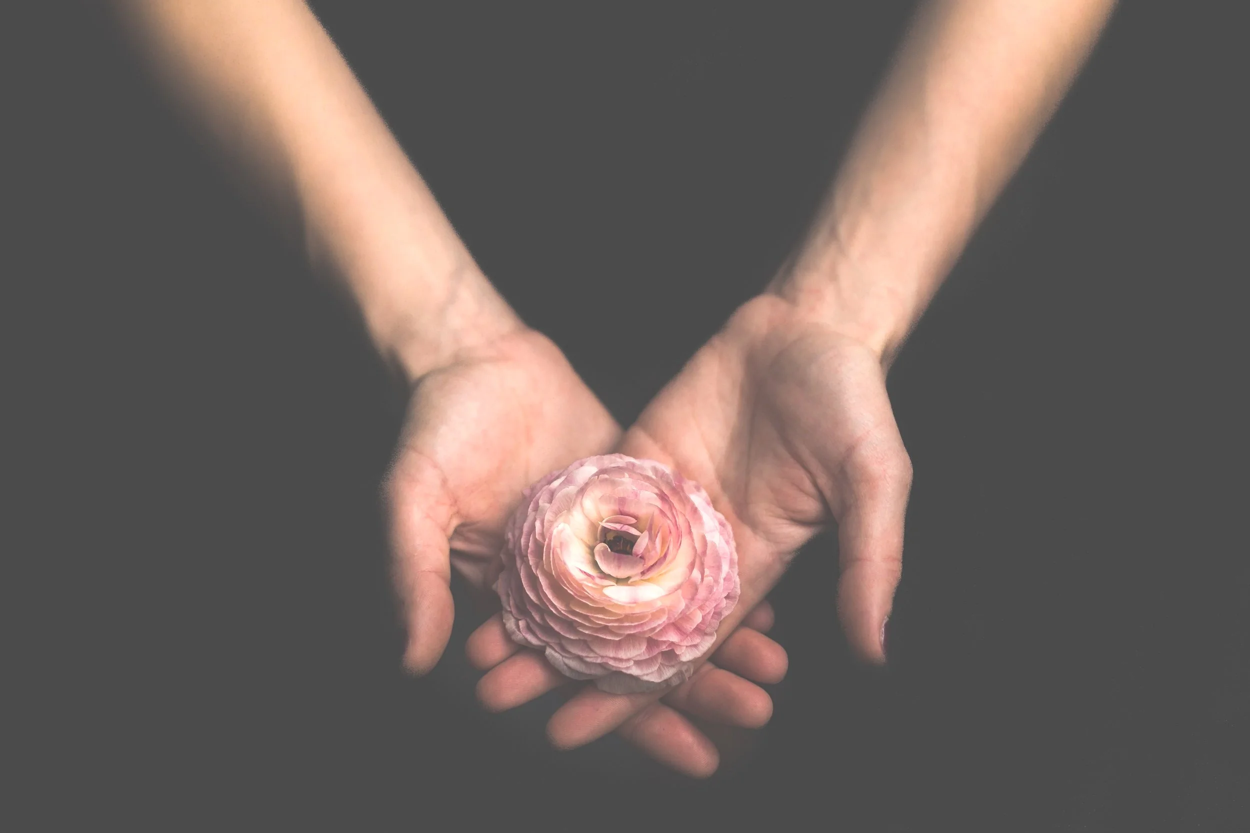 matthew-henry-154340-unsplash.jpg