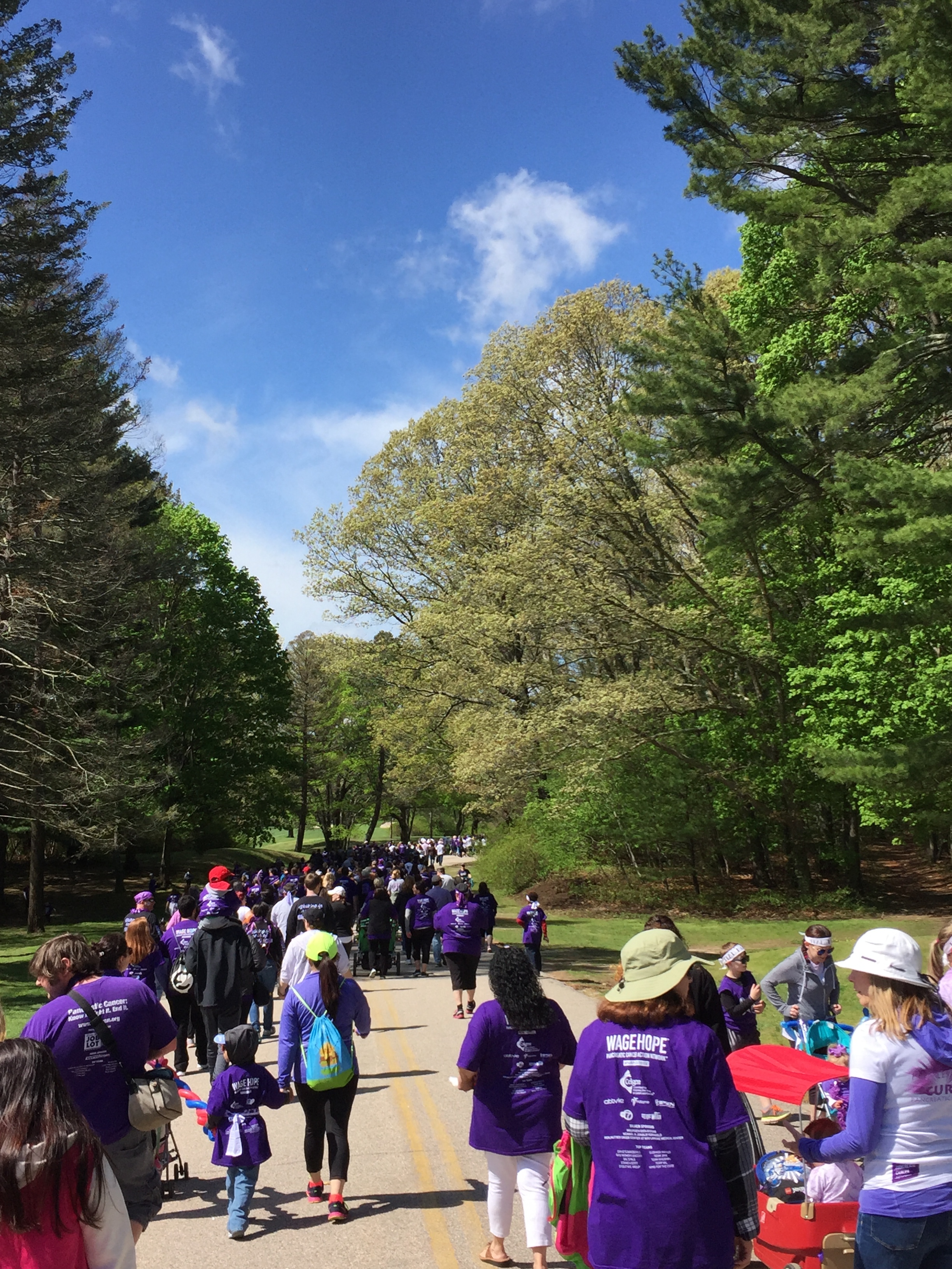  PurpleStride 2018 - The Walk to End Pancreatic Cancer 