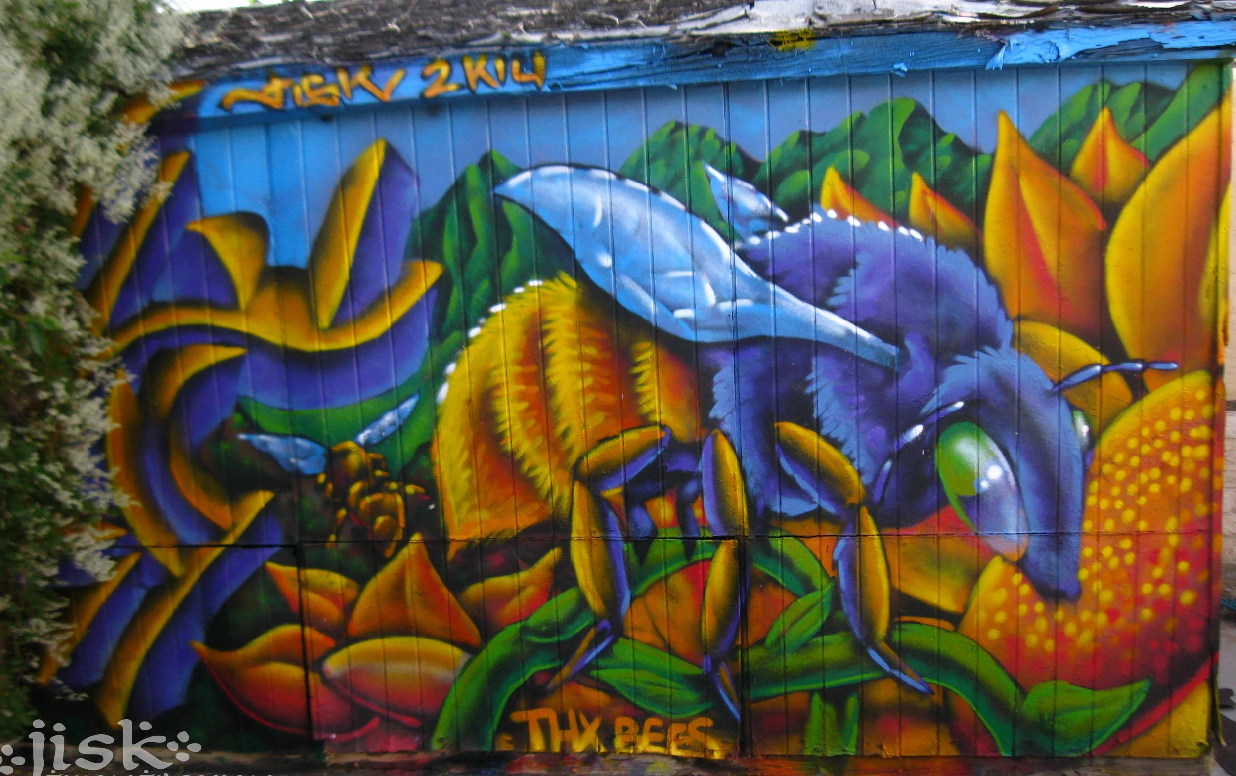 Albuquerque, NM 2014